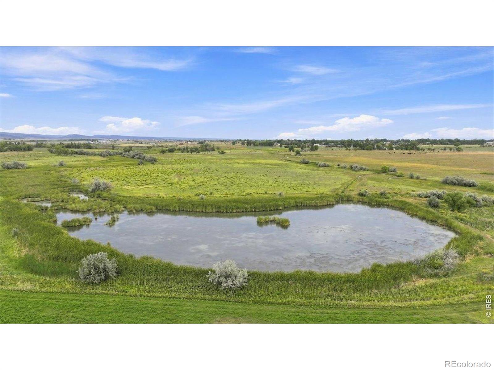 1127 W County Road 66, Fort Collins, CO 80524