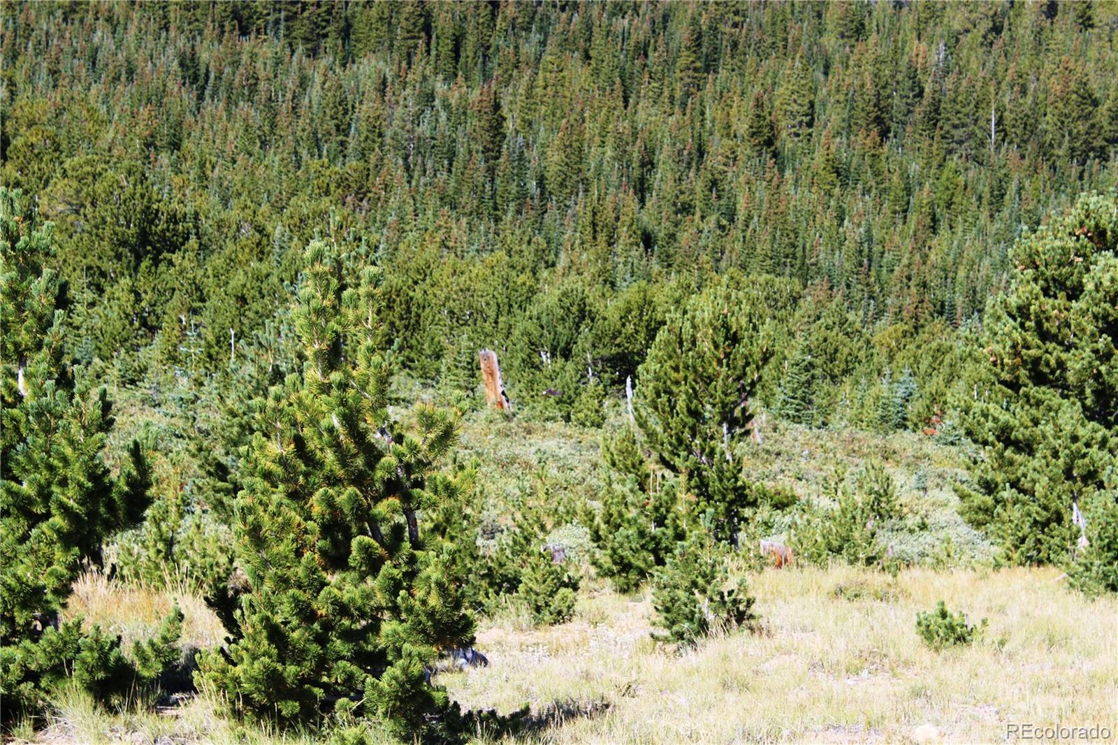 00 Fs 187 1 Lot 18043, Black Hawk, CO 80422
