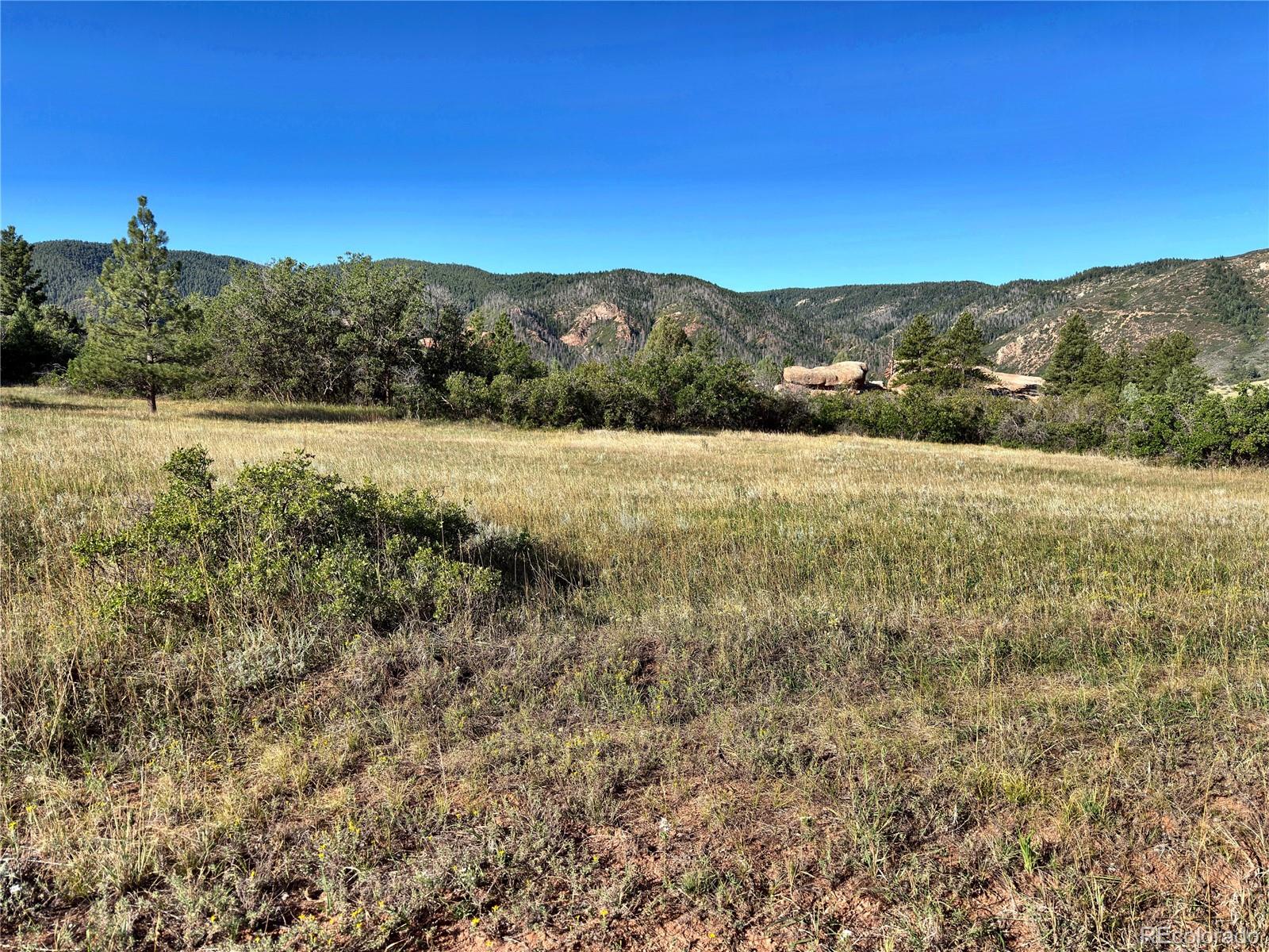 6235 Perry Park Blvd, Larkspur, CO 80118