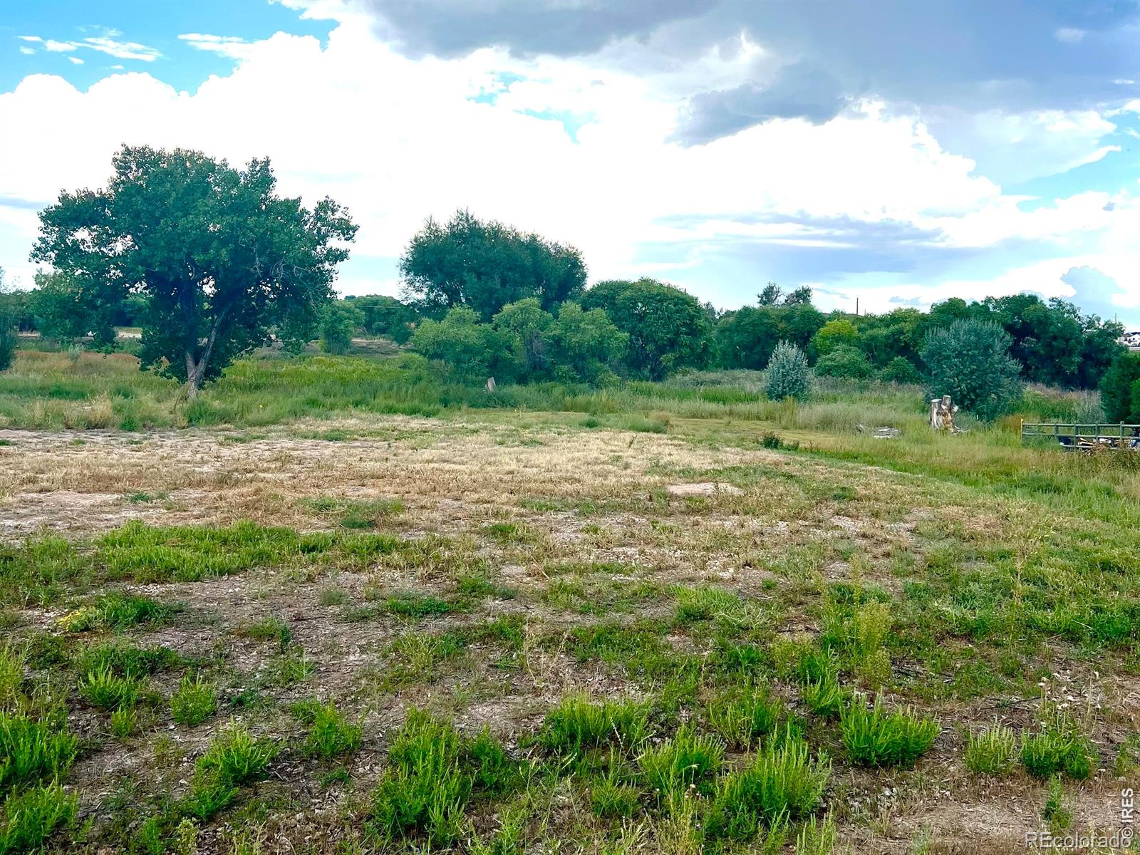 5101 Pawnee Dr, Greeley, CO 80634