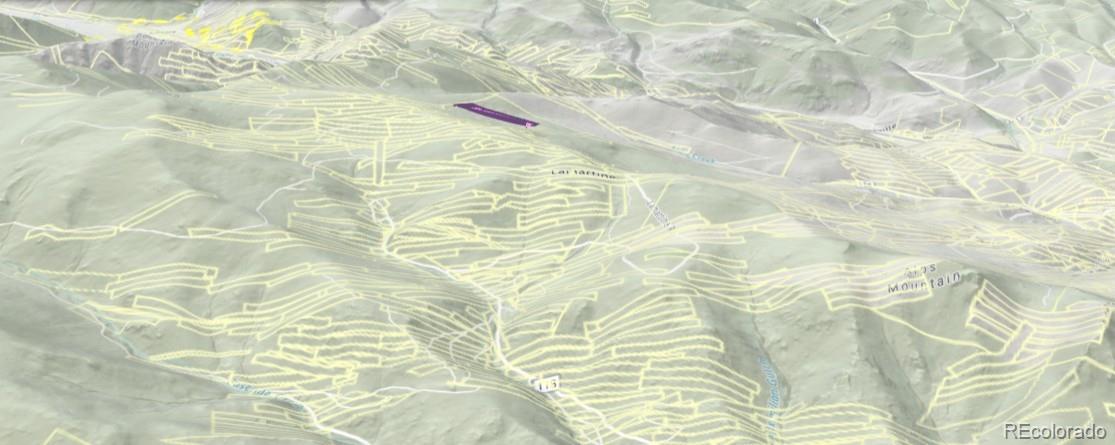000 Silver Dollar Lode, Georgetown, CO 80444