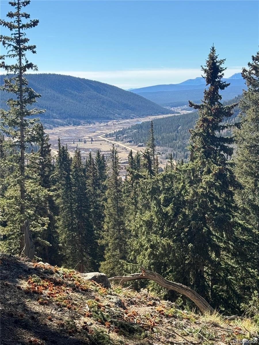 275 Lakeview Dr Lot 7, Alma, CO 80420
