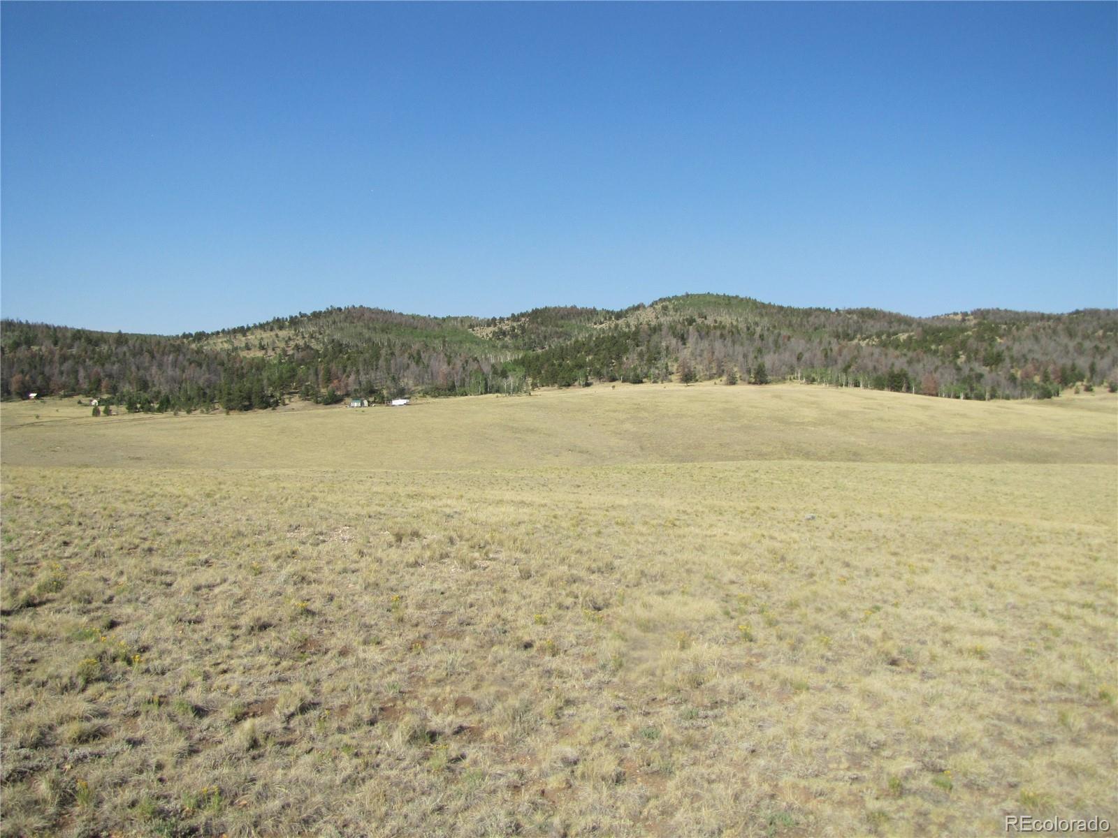 1027 Bolster Dr, Hartsel, CO 80449