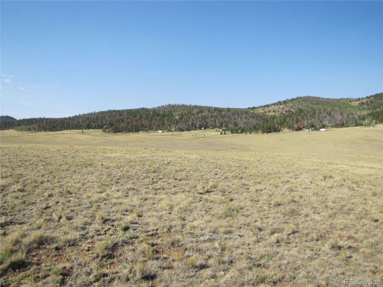 1027 Bolster Dr, Hartsel, CO 80449
