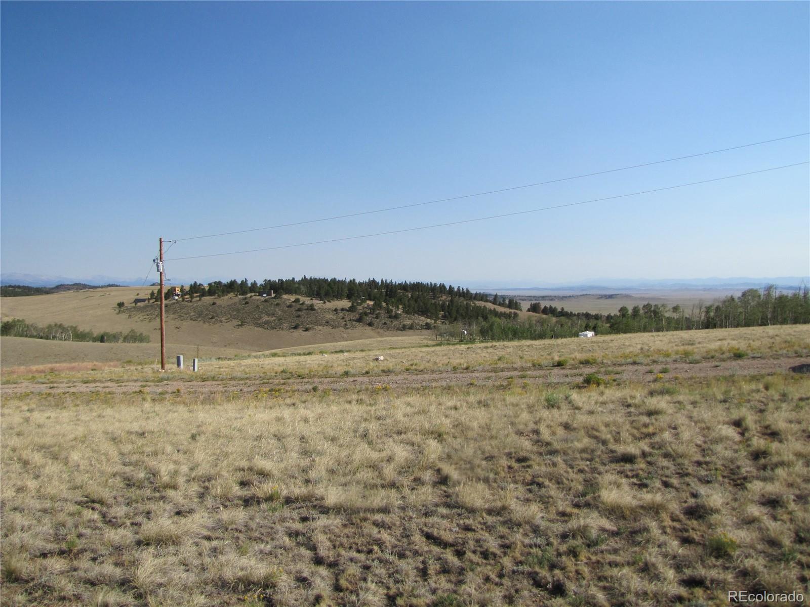 1027 Bolster Dr, Hartsel, CO 80449