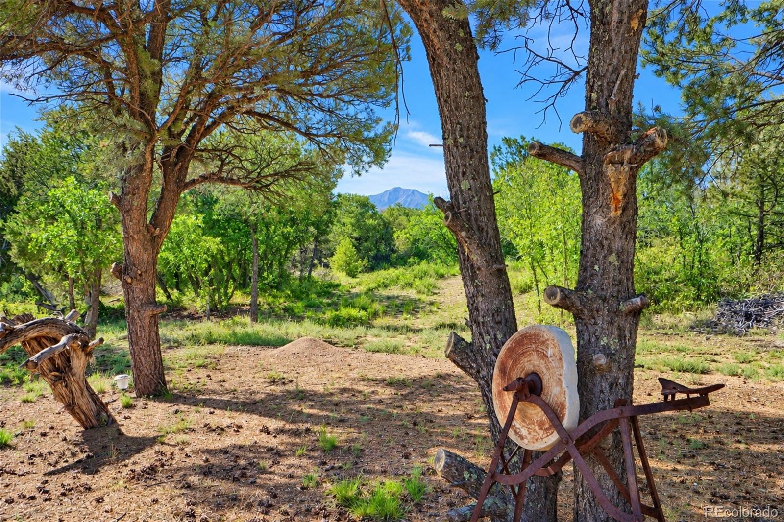 2592 Comanche Dr, Walsenburg, CO 81089