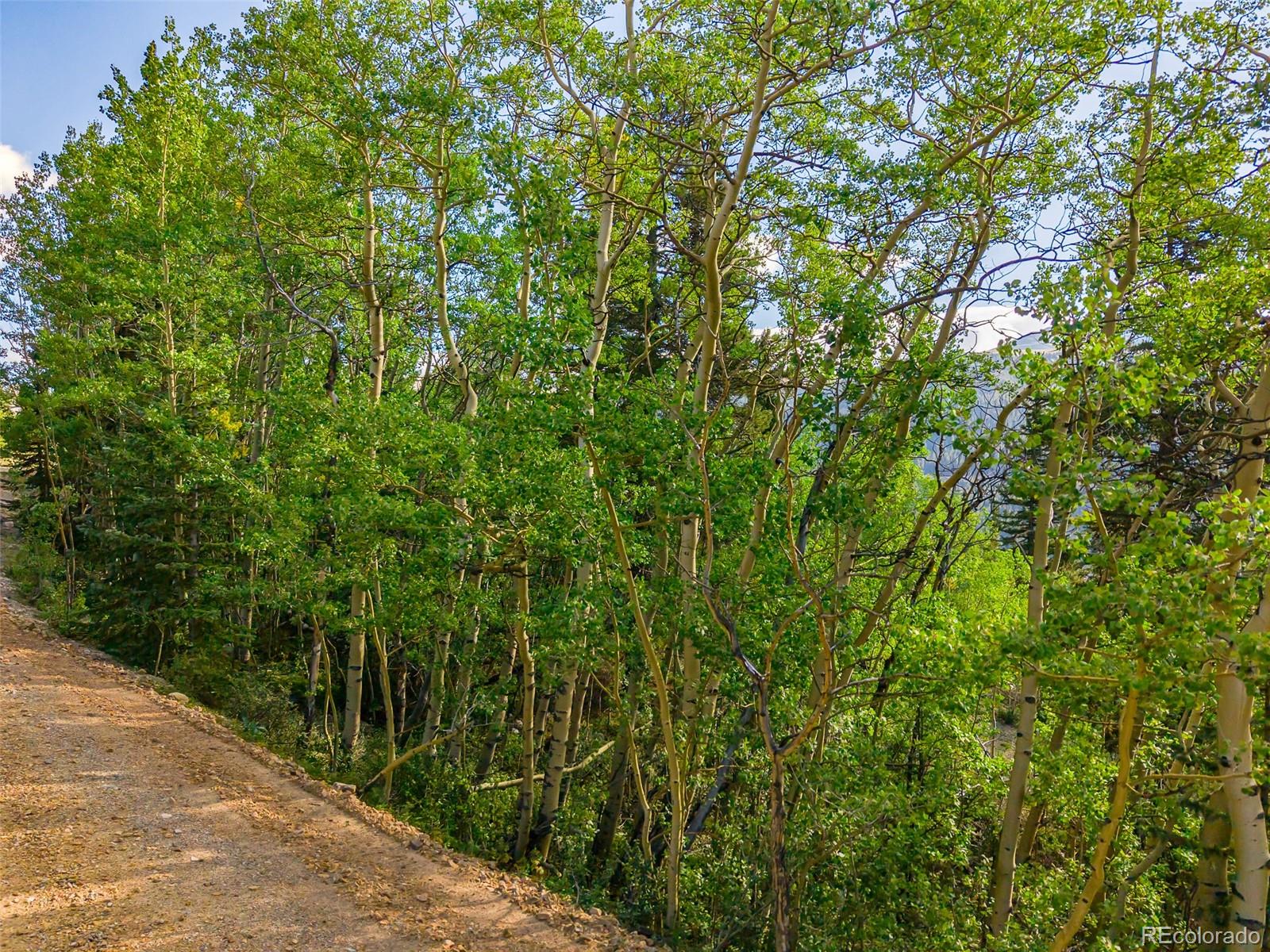 1238 Quartzville, Alma, CO 80420