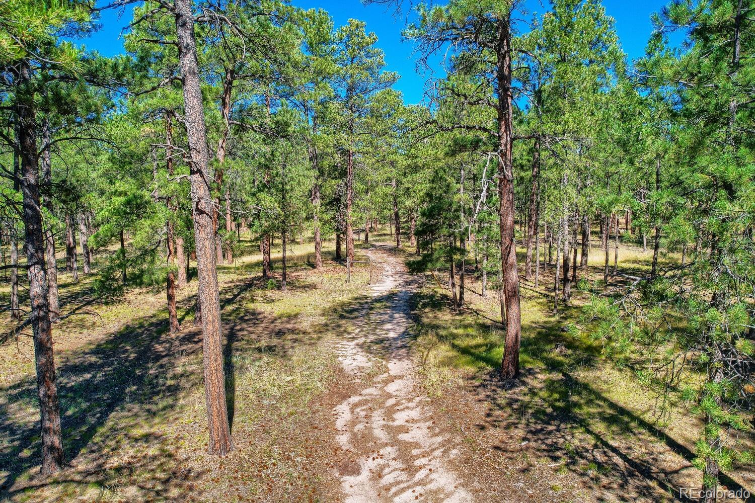 7675 Marjorie Jean Point, Colorado Springs, CO 80908