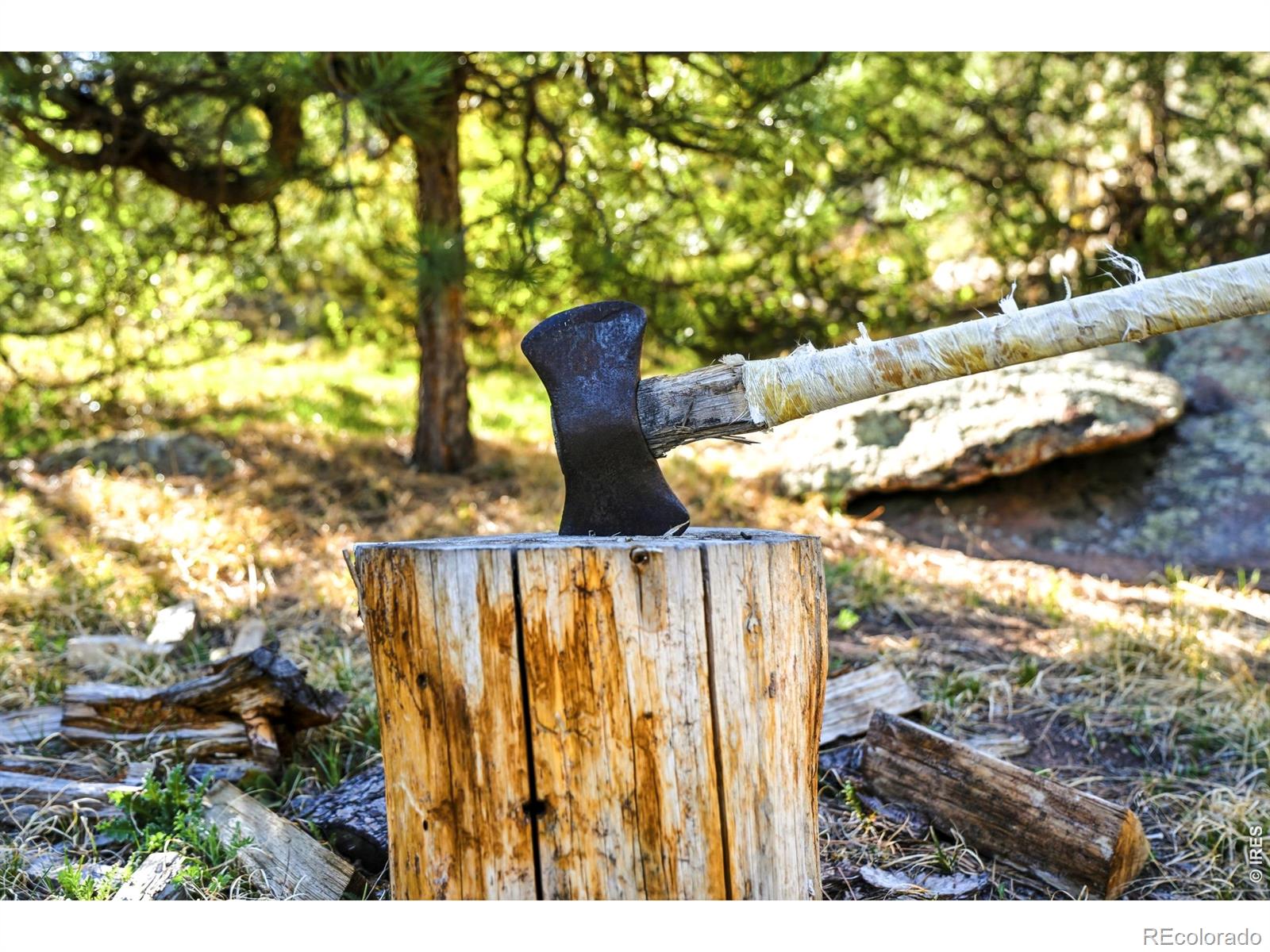 5 Mohawk Rd, Lyons, CO 80540