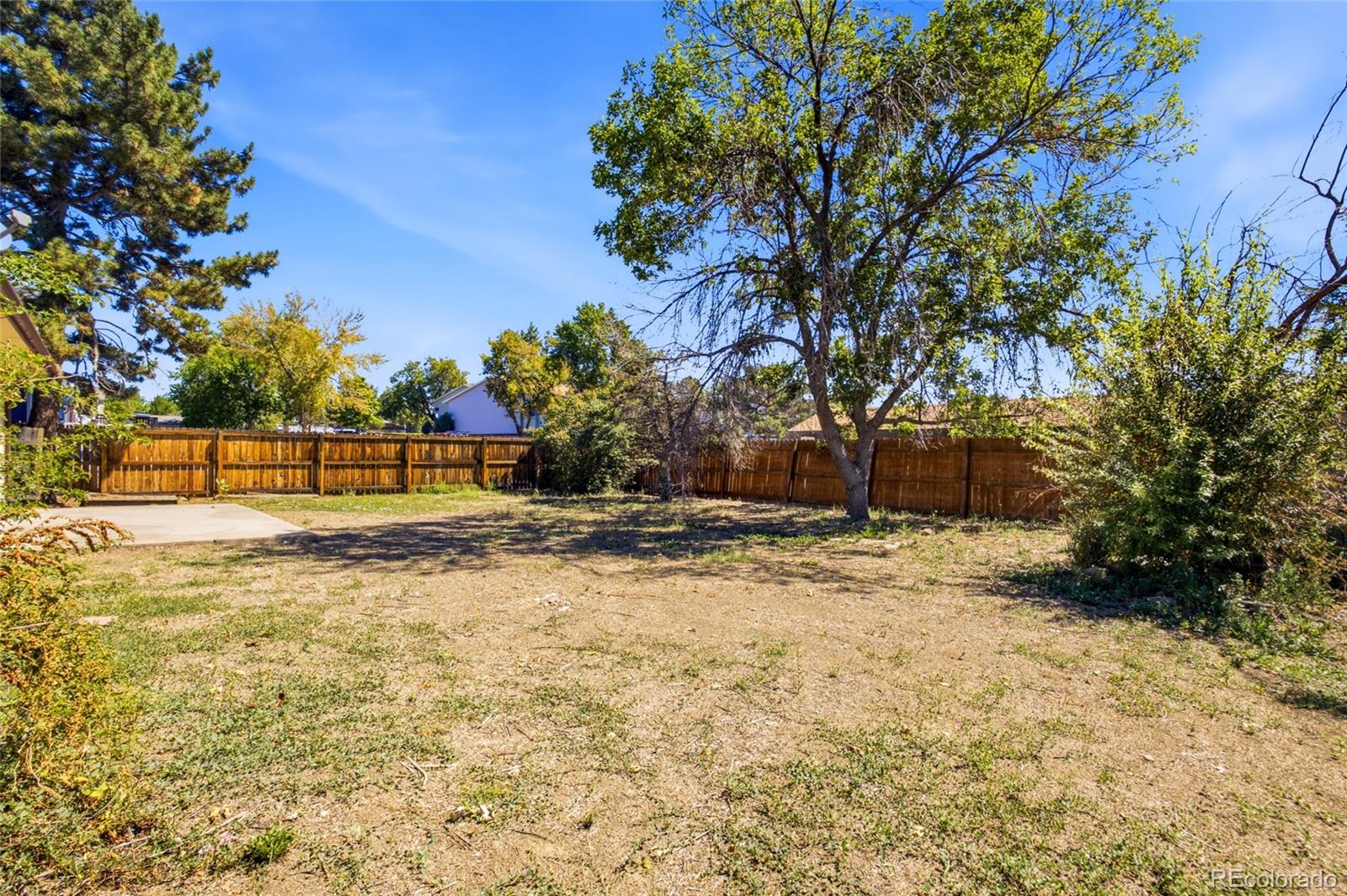 8130 Explorador Calle, Denver, CO 80229