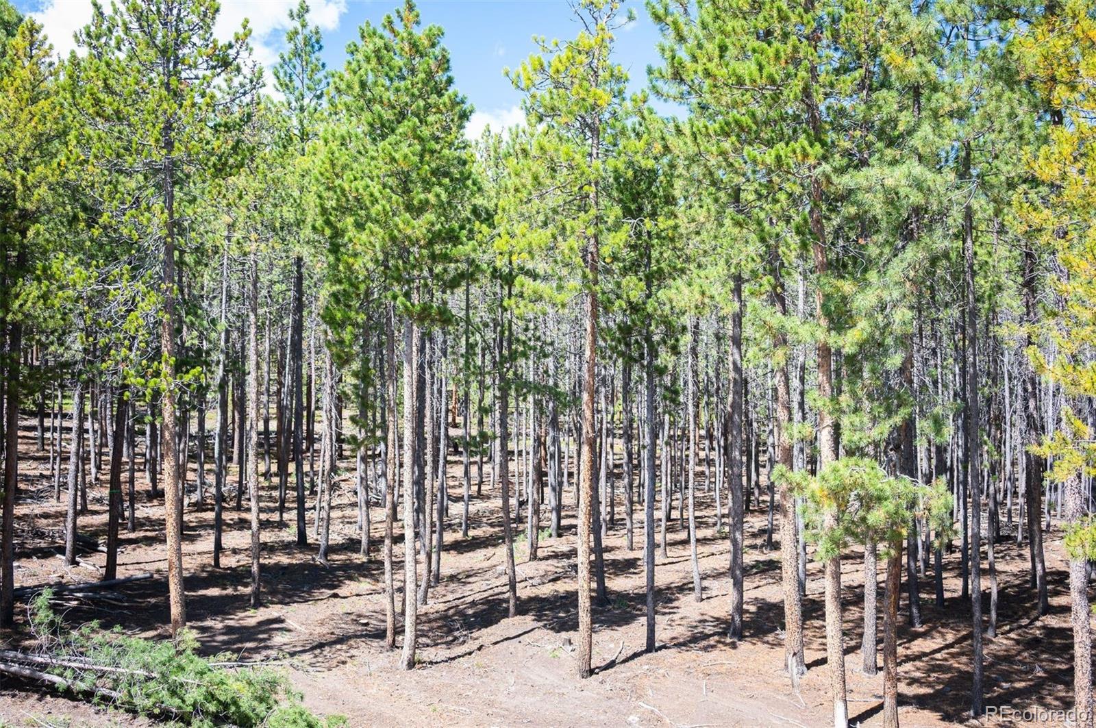 8320 S Warhawk Rd, Conifer, CO 80433
