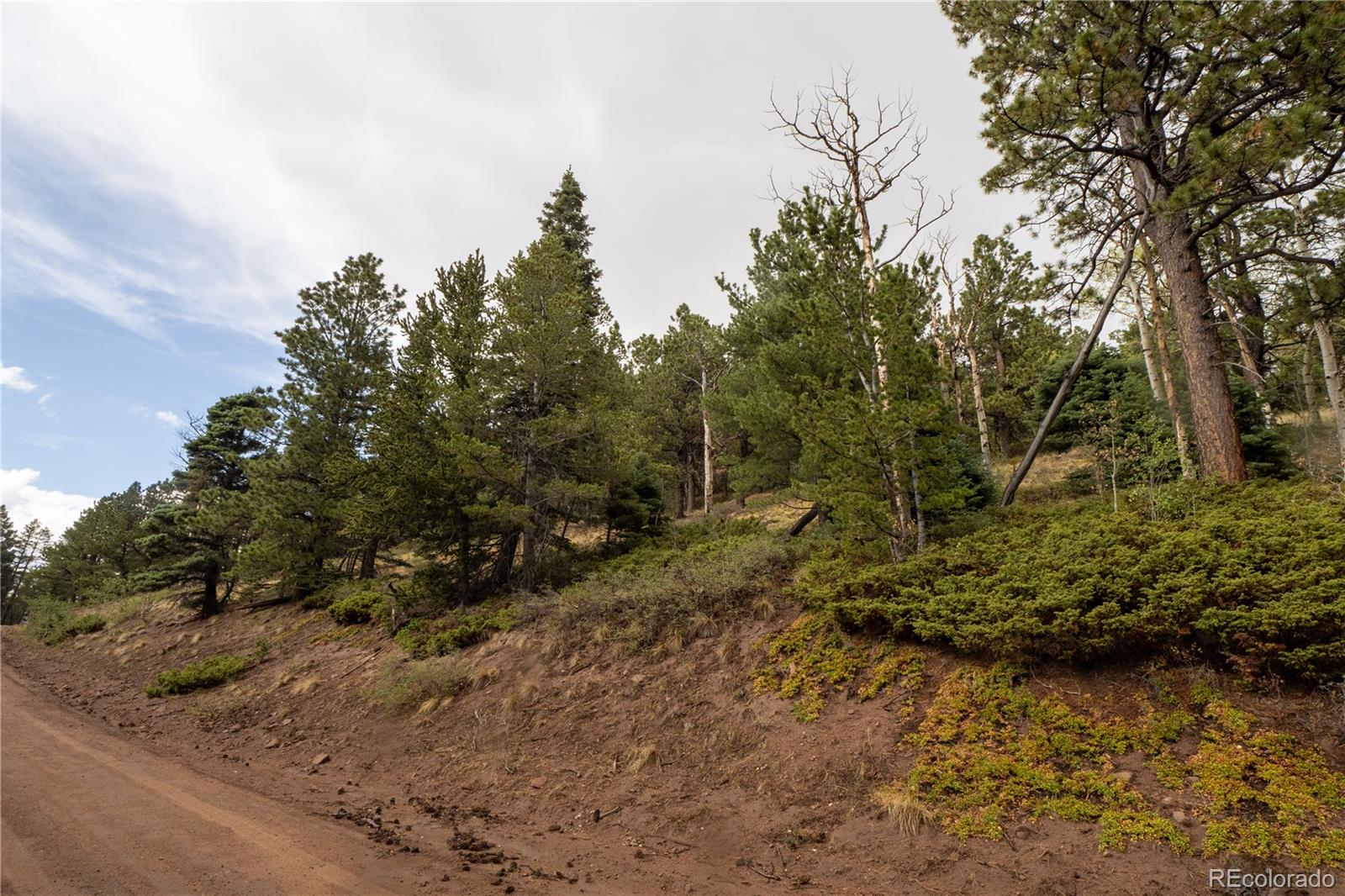 Lot 2797 Moir Dr Lot 2797, Fort Garland, CO 81133
