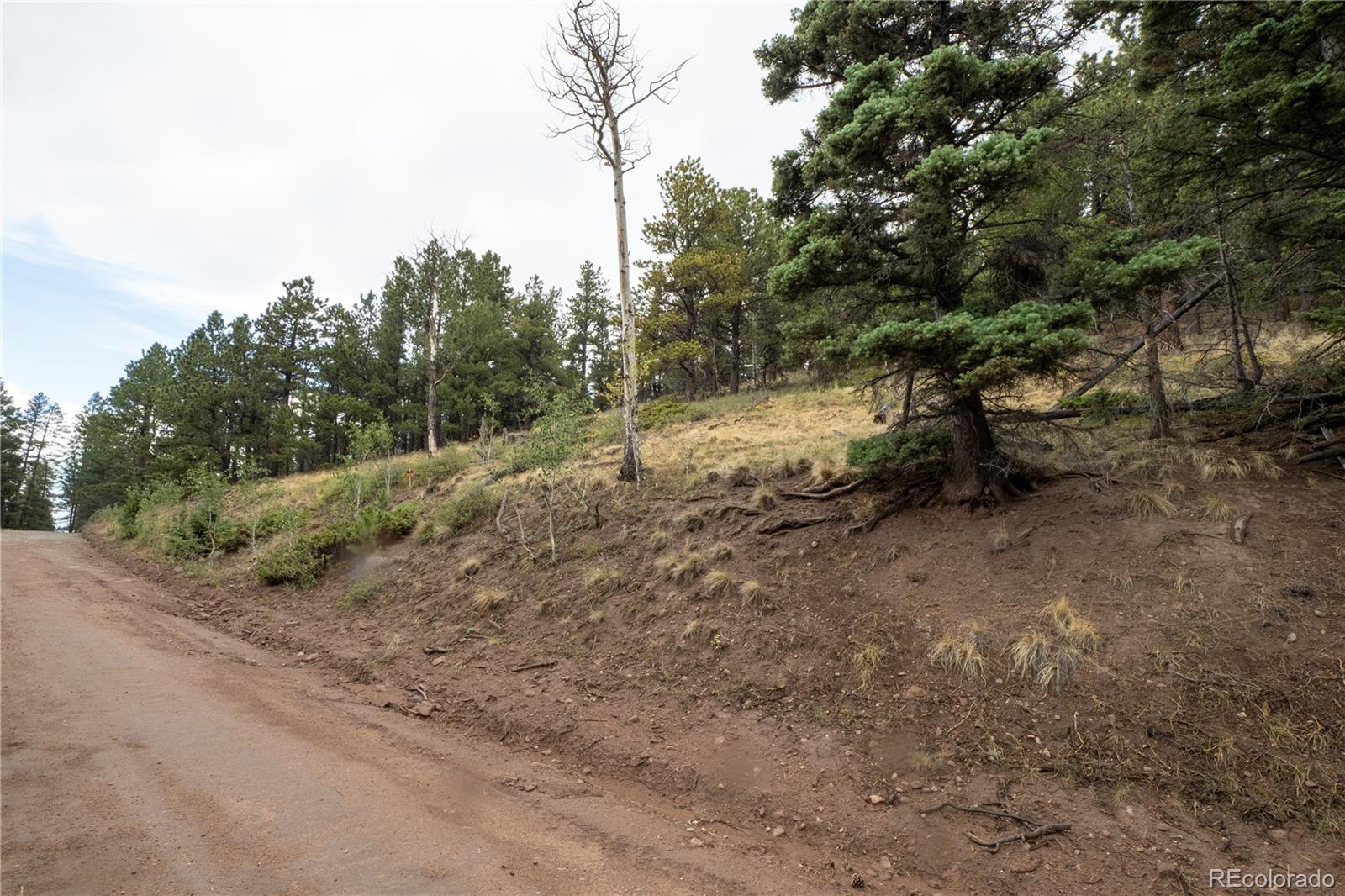Lot 2797 Moir Dr Lot 2797, Fort Garland, CO 81133