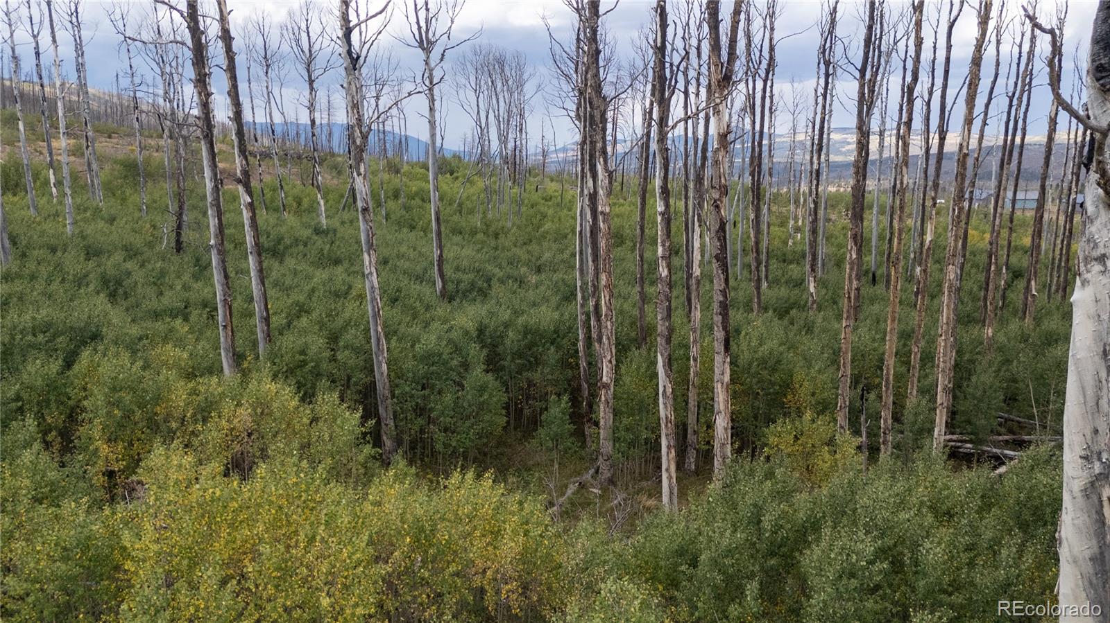 Lot 1947 Hilda Ln Lot 1947, Fort Garland, CO 81133