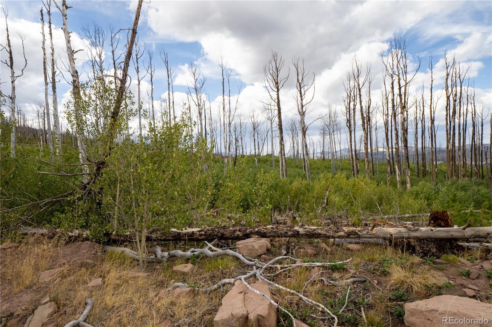 Lot 1947 Hilda Ln Lot 1947, Fort Garland, CO 81133