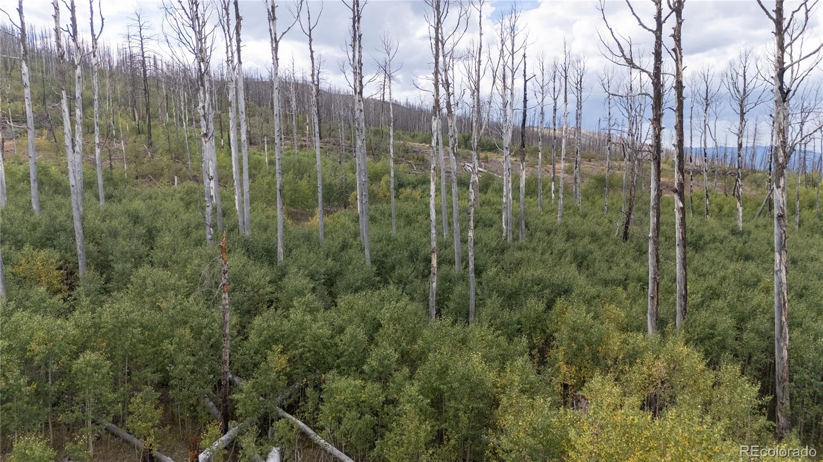 Lot 1947 Hilda Ln Lot 1947, Fort Garland, CO 81133