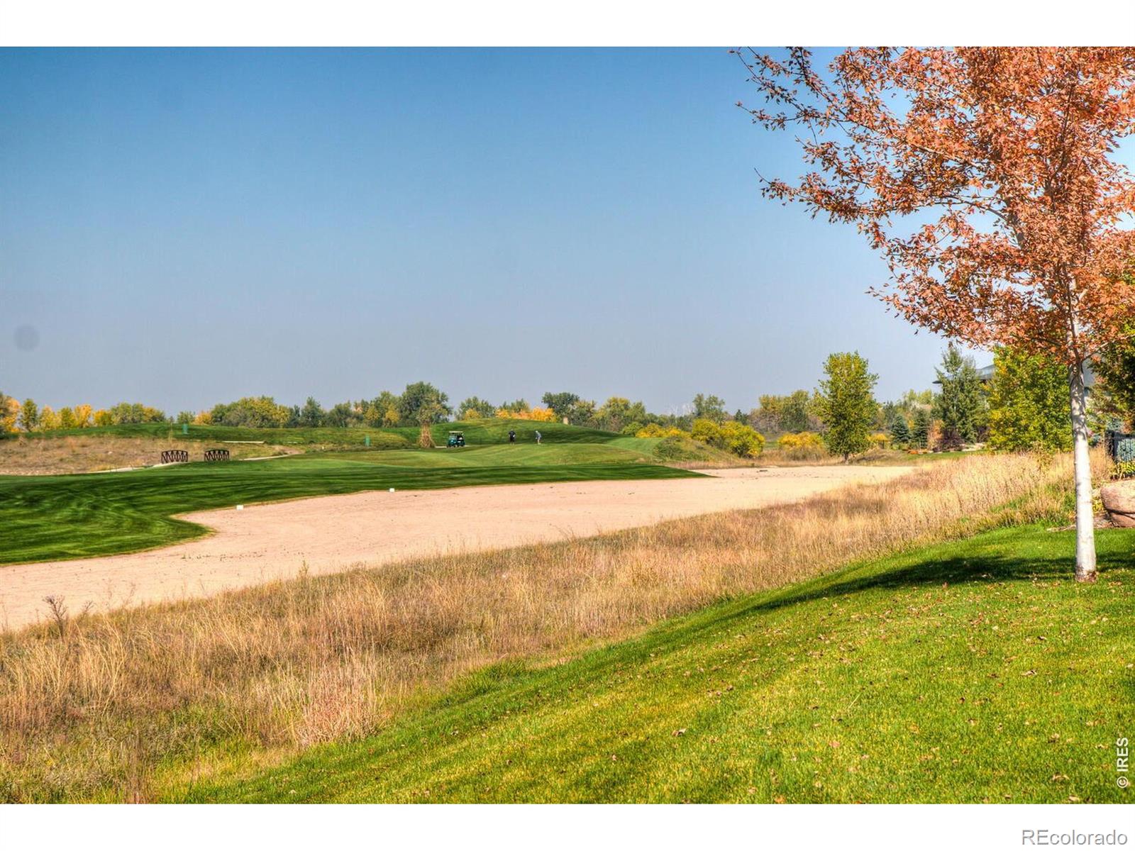 149 Beacon Way, Windsor, CO 80550