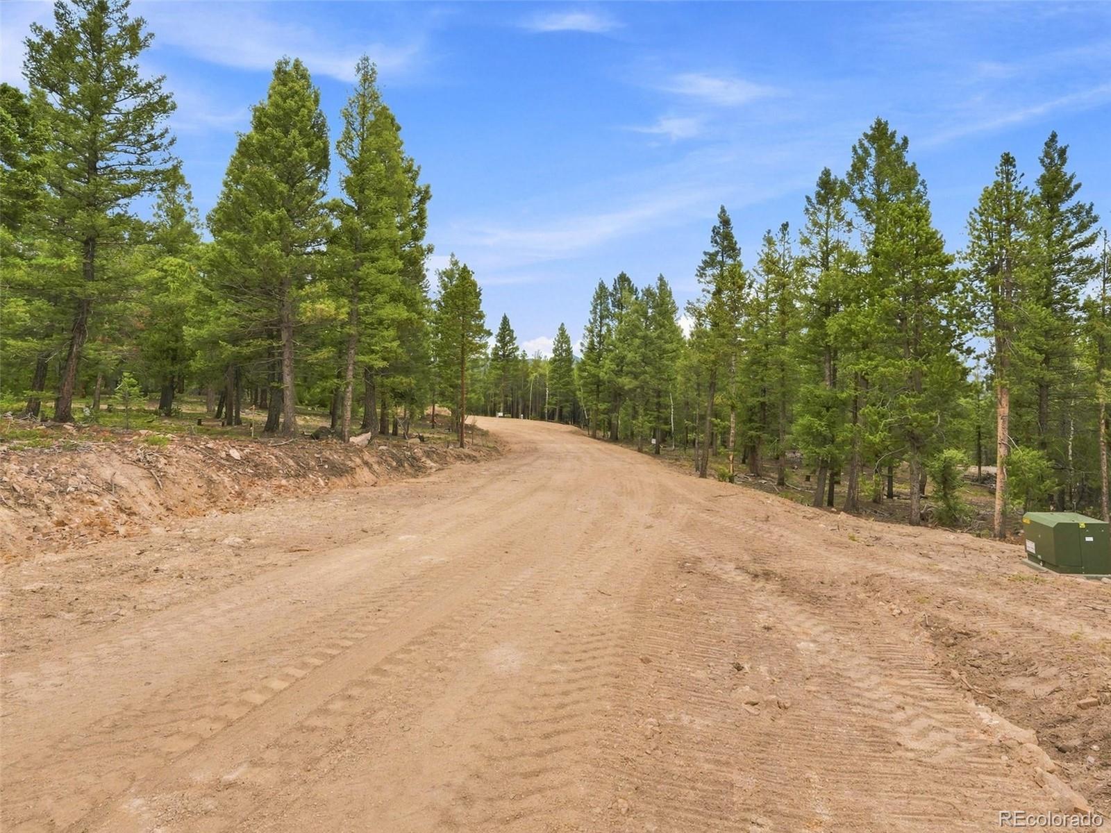 31004 Forest Shadow Trl, Conifer, CO 80433