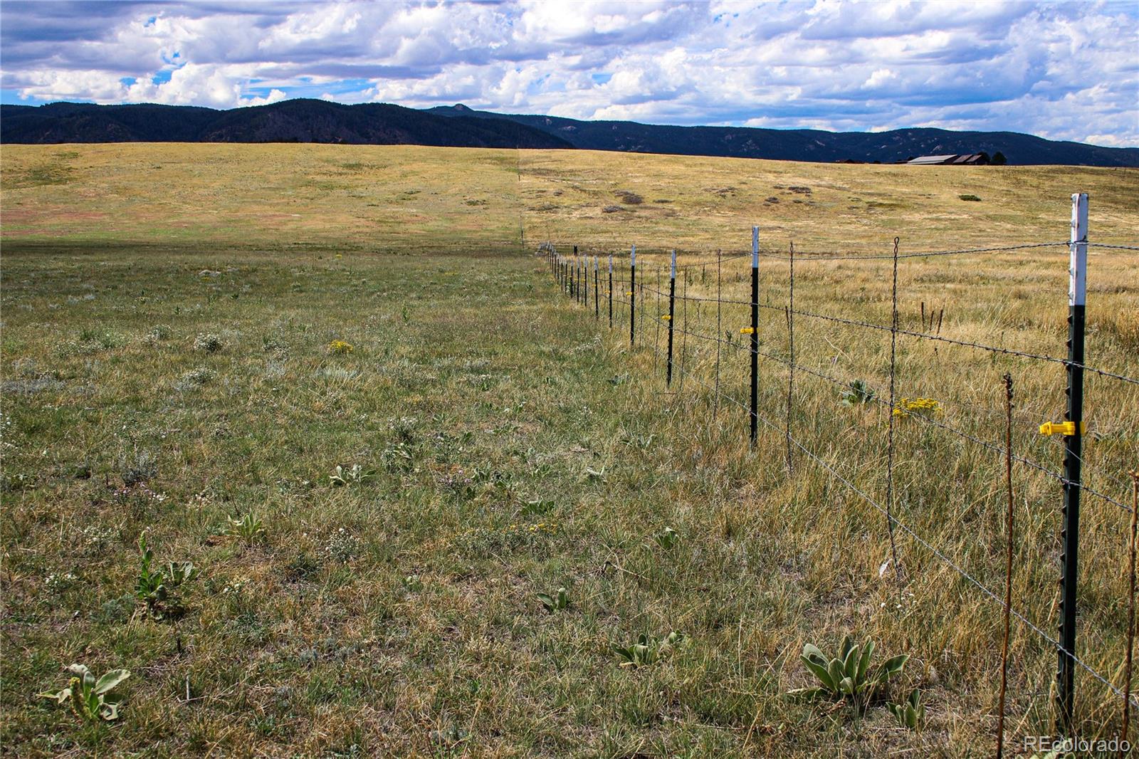 11001 Spruce Mountain Rd, Larkspur, CO 80118
