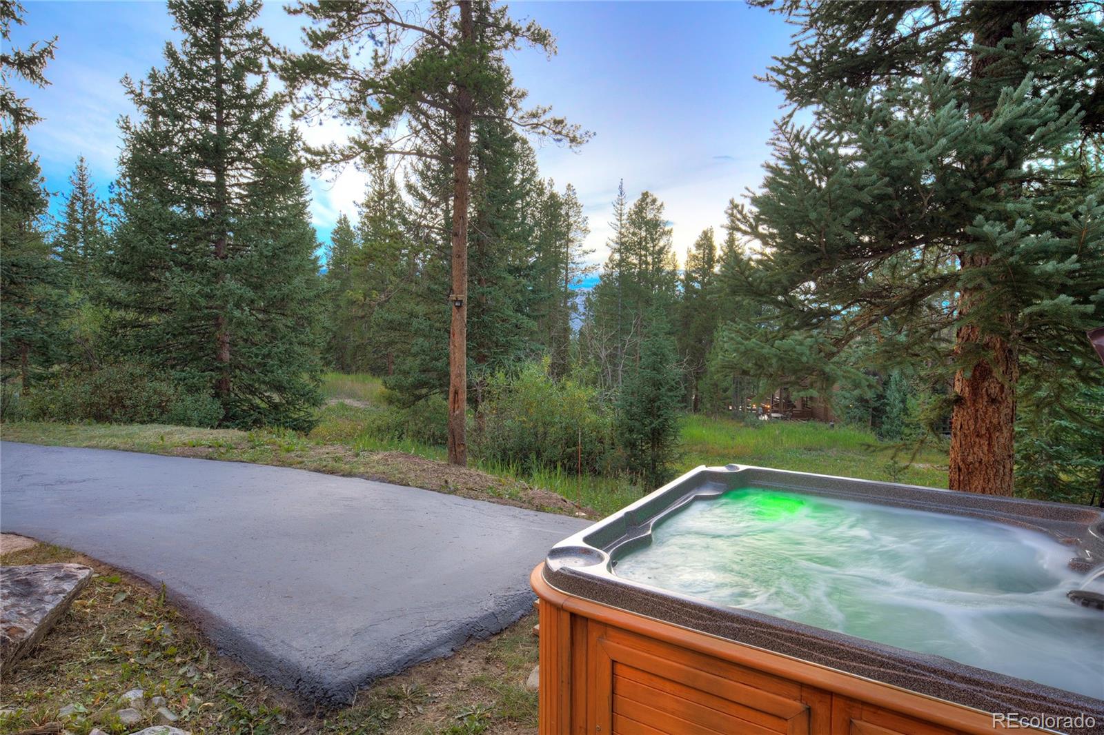 183 County Road 534, Breckenridge, CO 80424