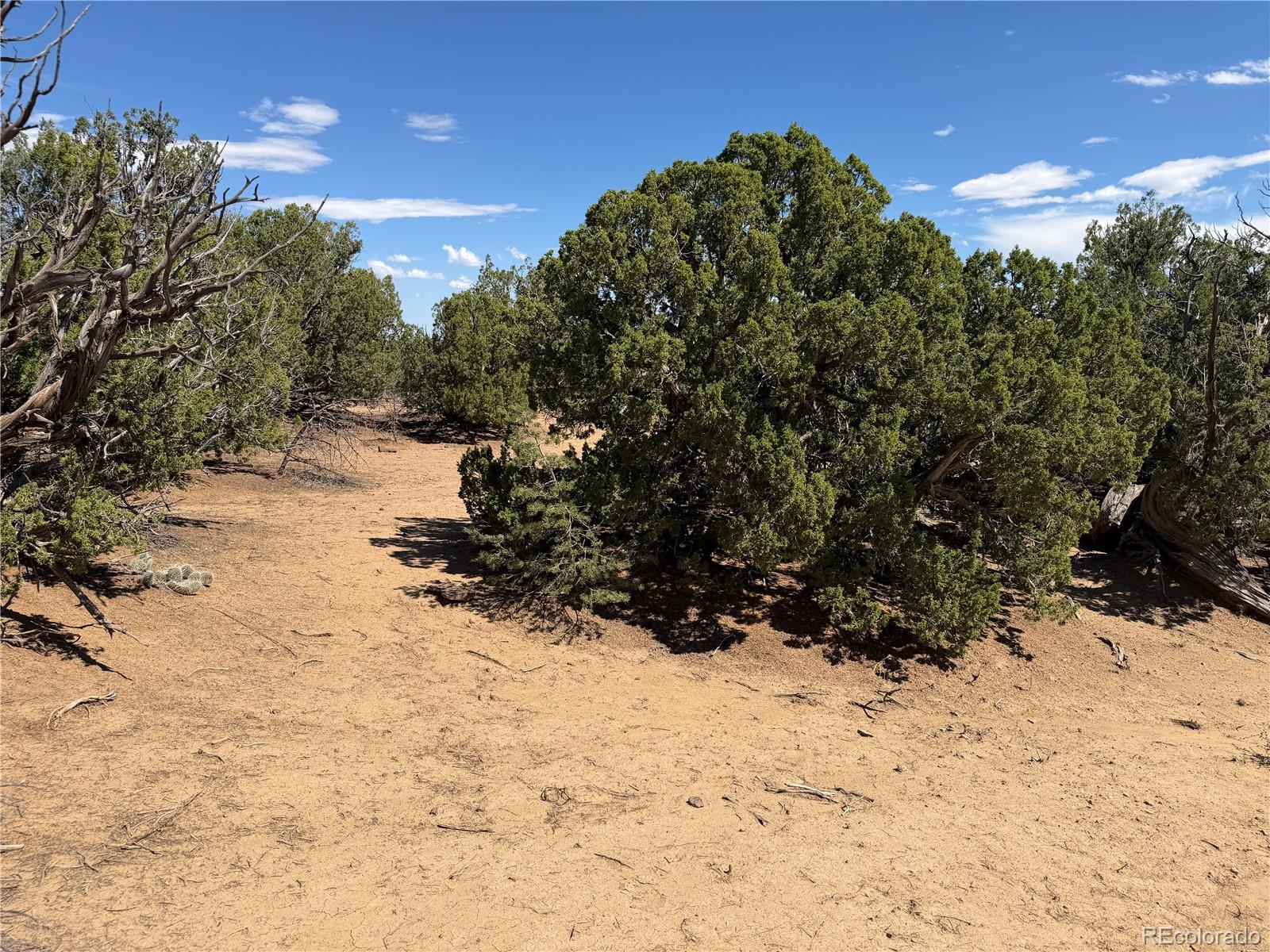 Lots 81a - 101 Twin Lakes Ranch Lot 81a & 101, Walsenburg, CO 81089