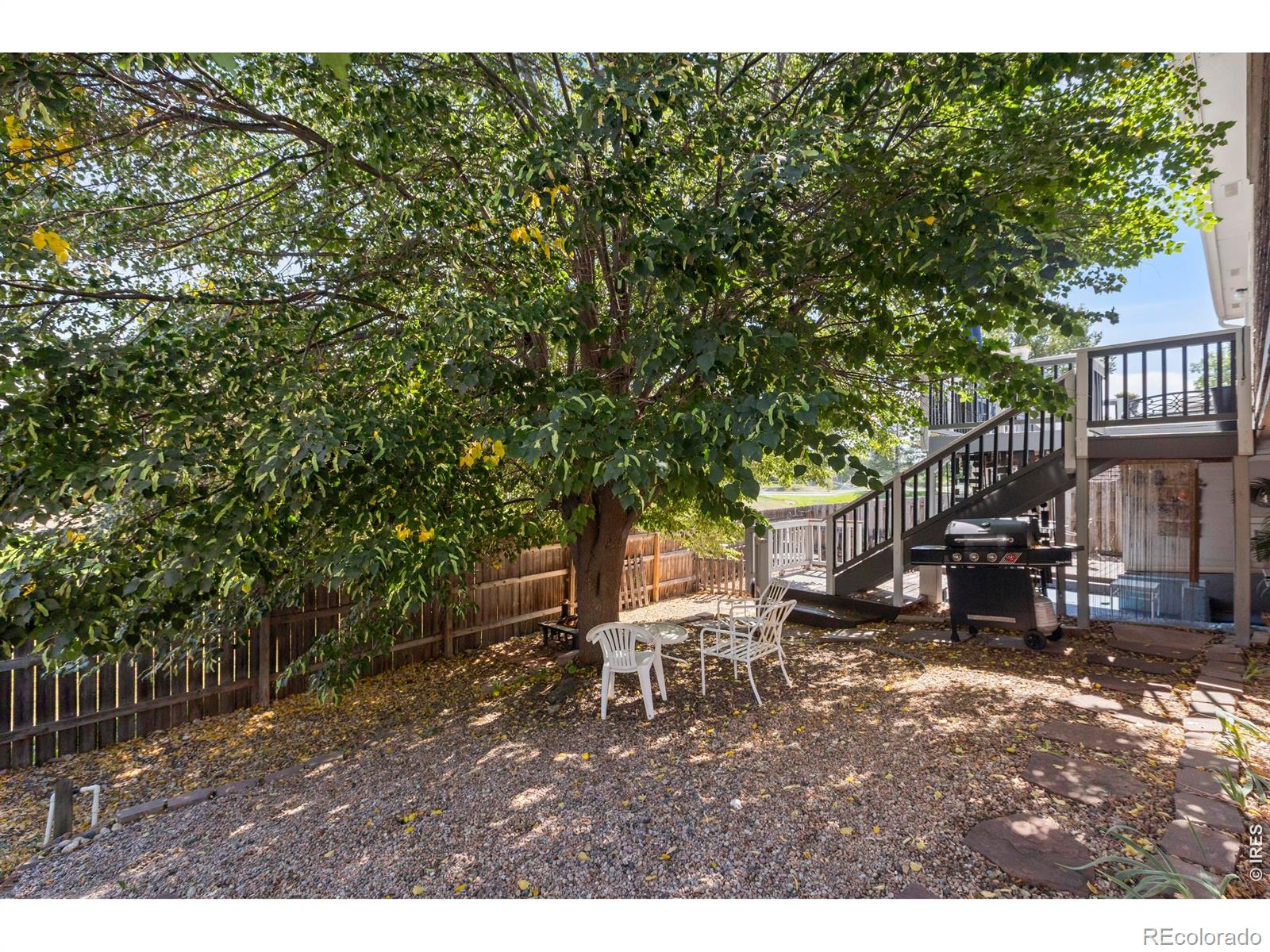 743 Ponderosa Dr, Windsor, CO 80550
