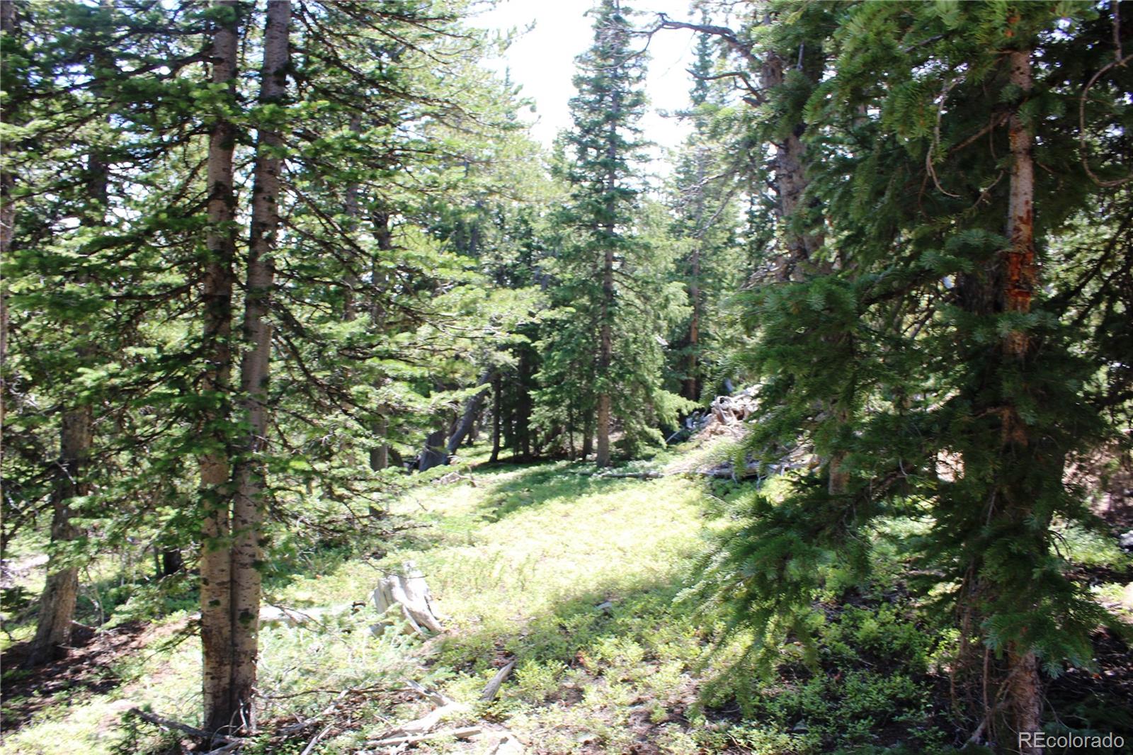 00 Fs 412 1j, Black Hawk, CO 80422