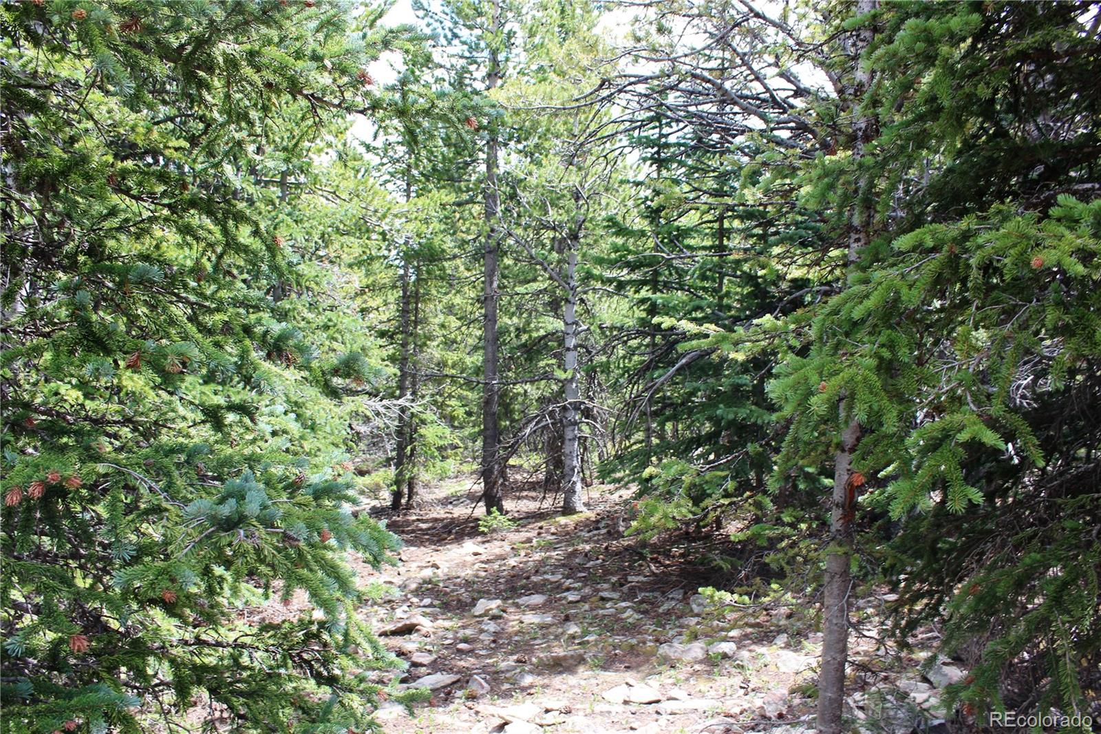 5285 Lucy Agnes Lot 5285, Black Hawk, CO 80422