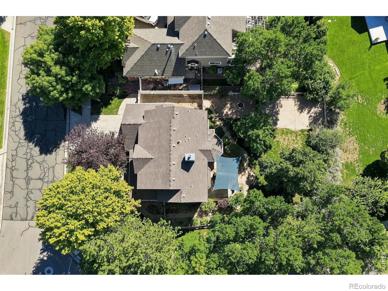 243 Cattail, Windsor, CO 80550
