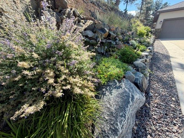 1029 Blue Grass Trl, Evergreen, CO 80439