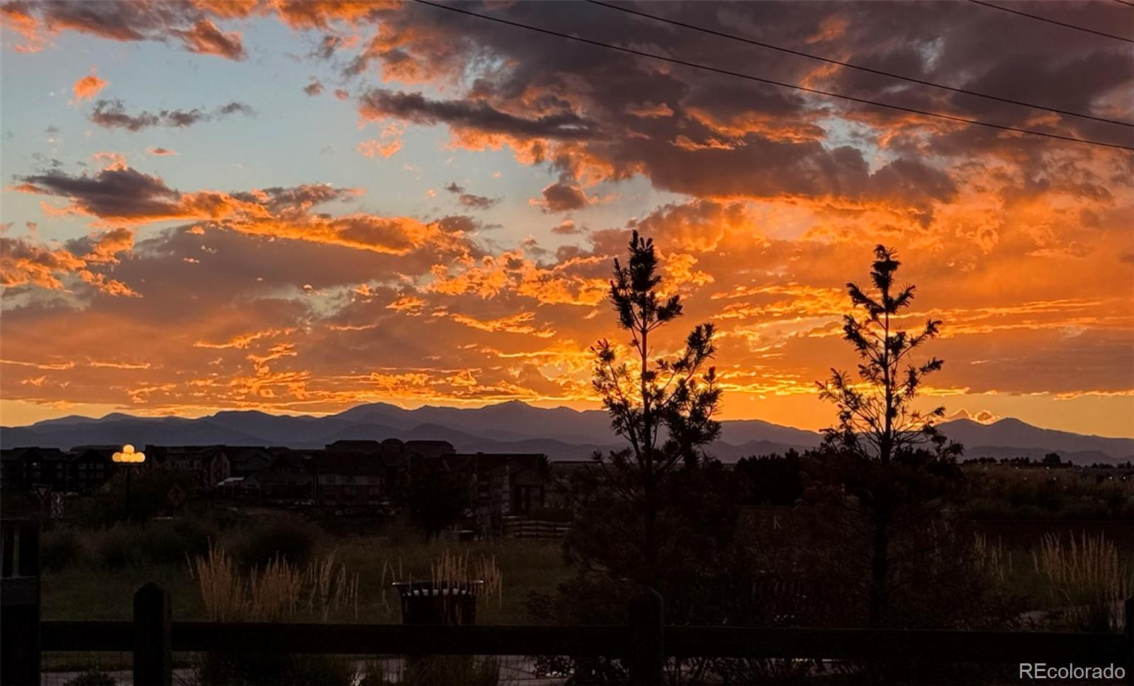 8973 Birch Run Ln, Parker, CO 80134