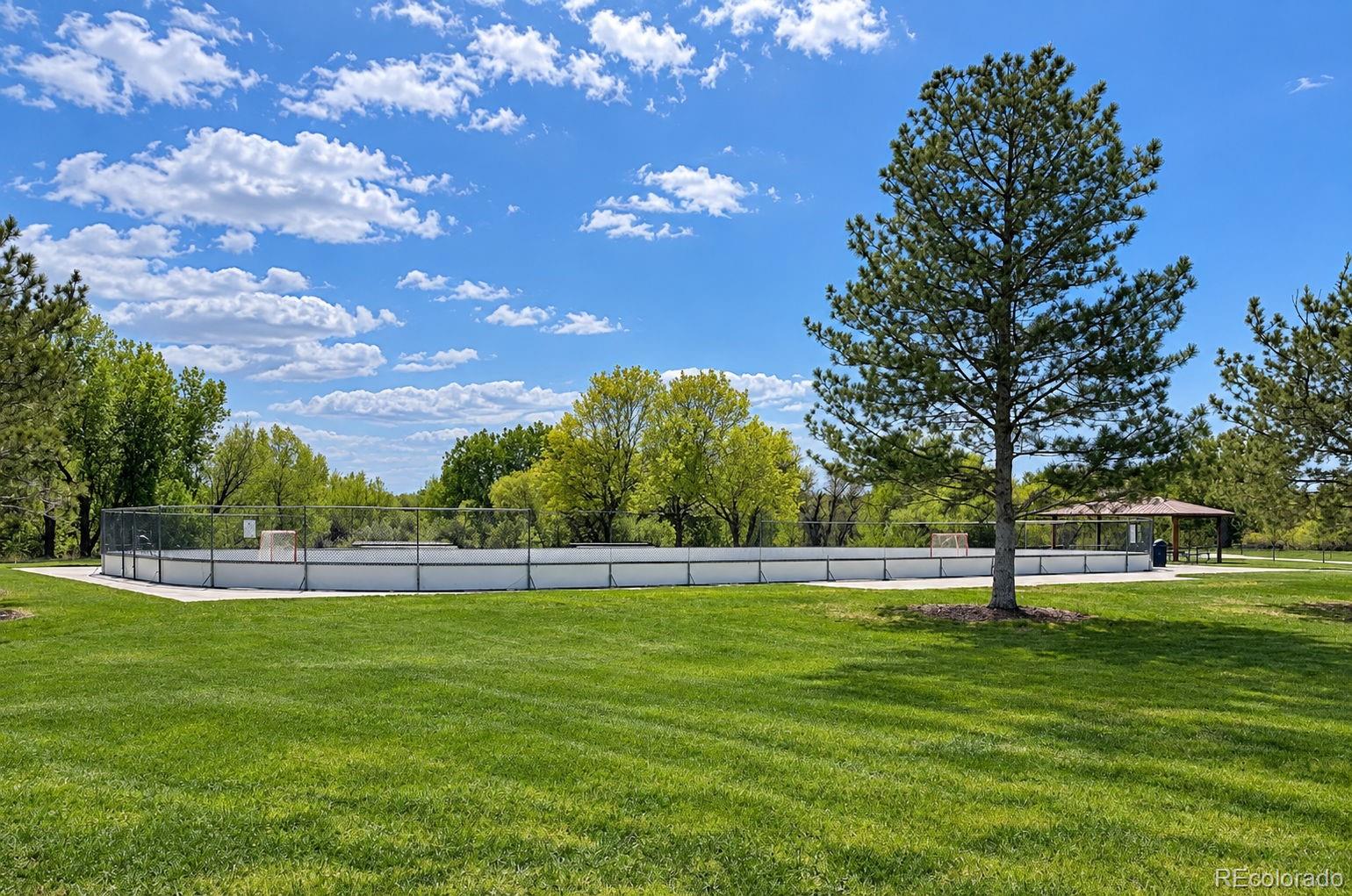 8973 Birch Run Ln, Parker, CO 80134