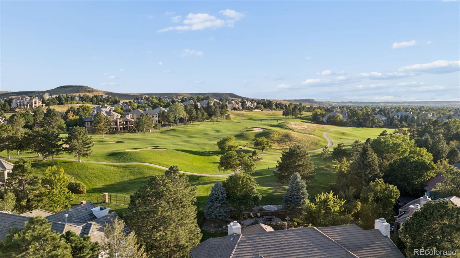 8571 Colonial Dr, Lone Tree, CO 80124