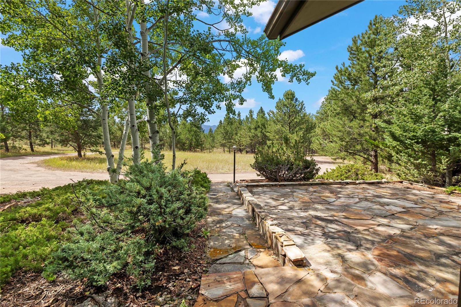 580 Mills Ranch Rd, Woodland Park, CO 80863