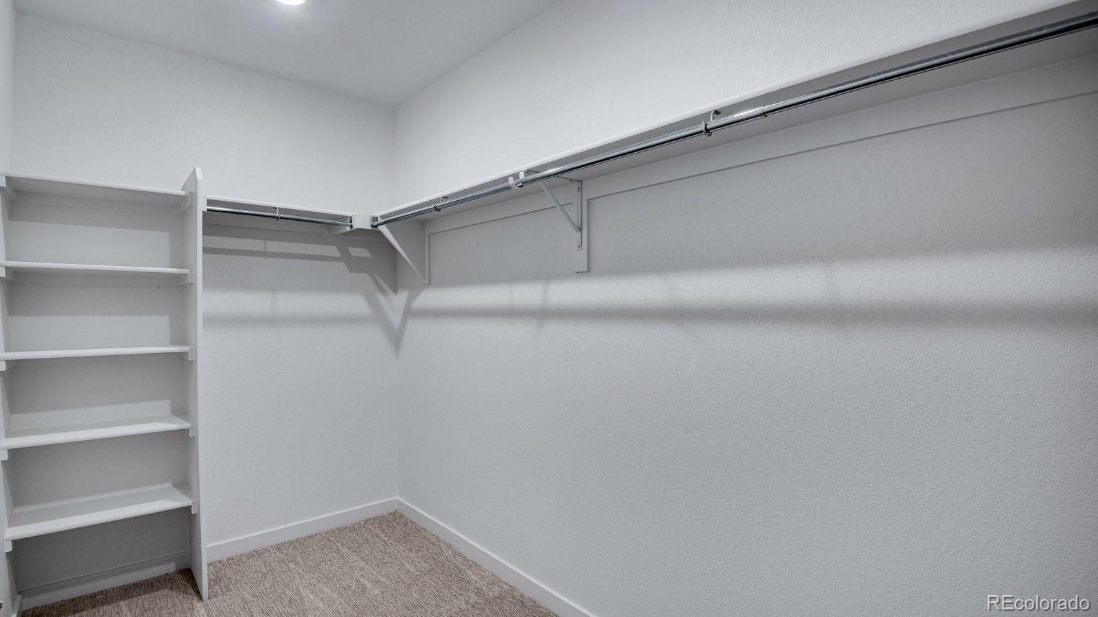 18125 Coppermallow Trl, Parker, CO 80134