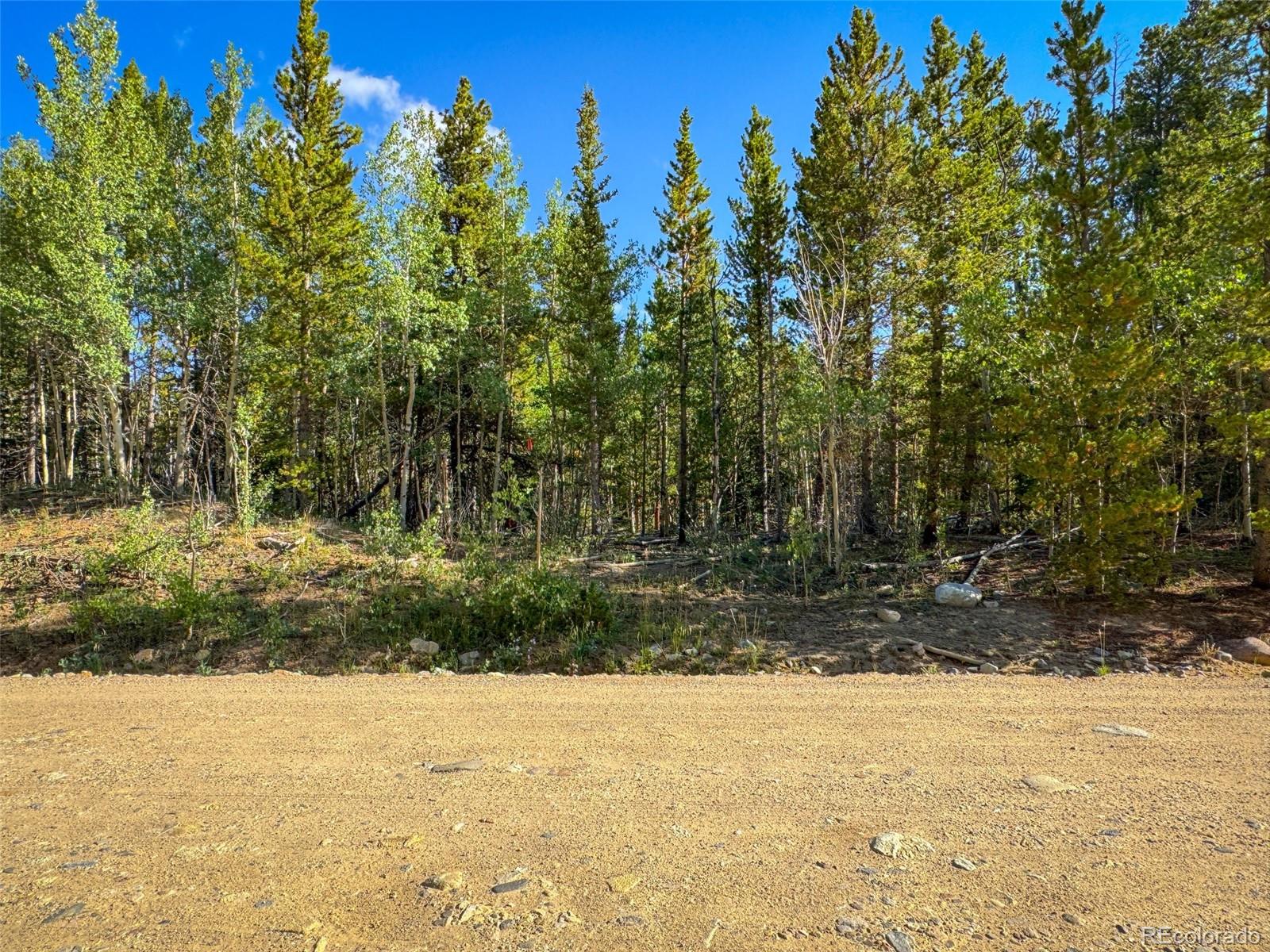 Lot 1 Venture Rd Lot 1, Fairplay, CO 80440
