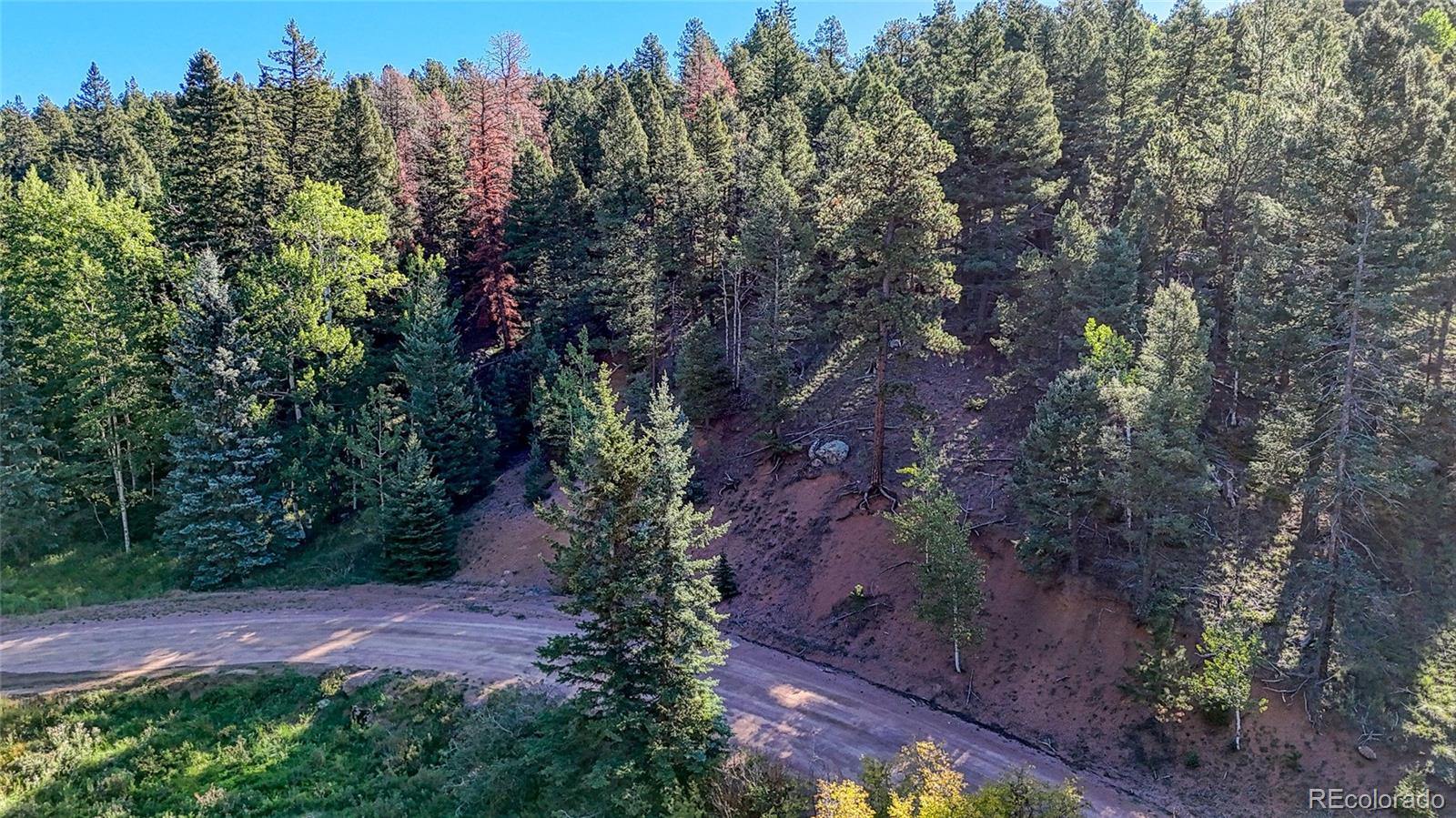 776 Spring Valley Ln Lot 1088, Florissant, CO 80816