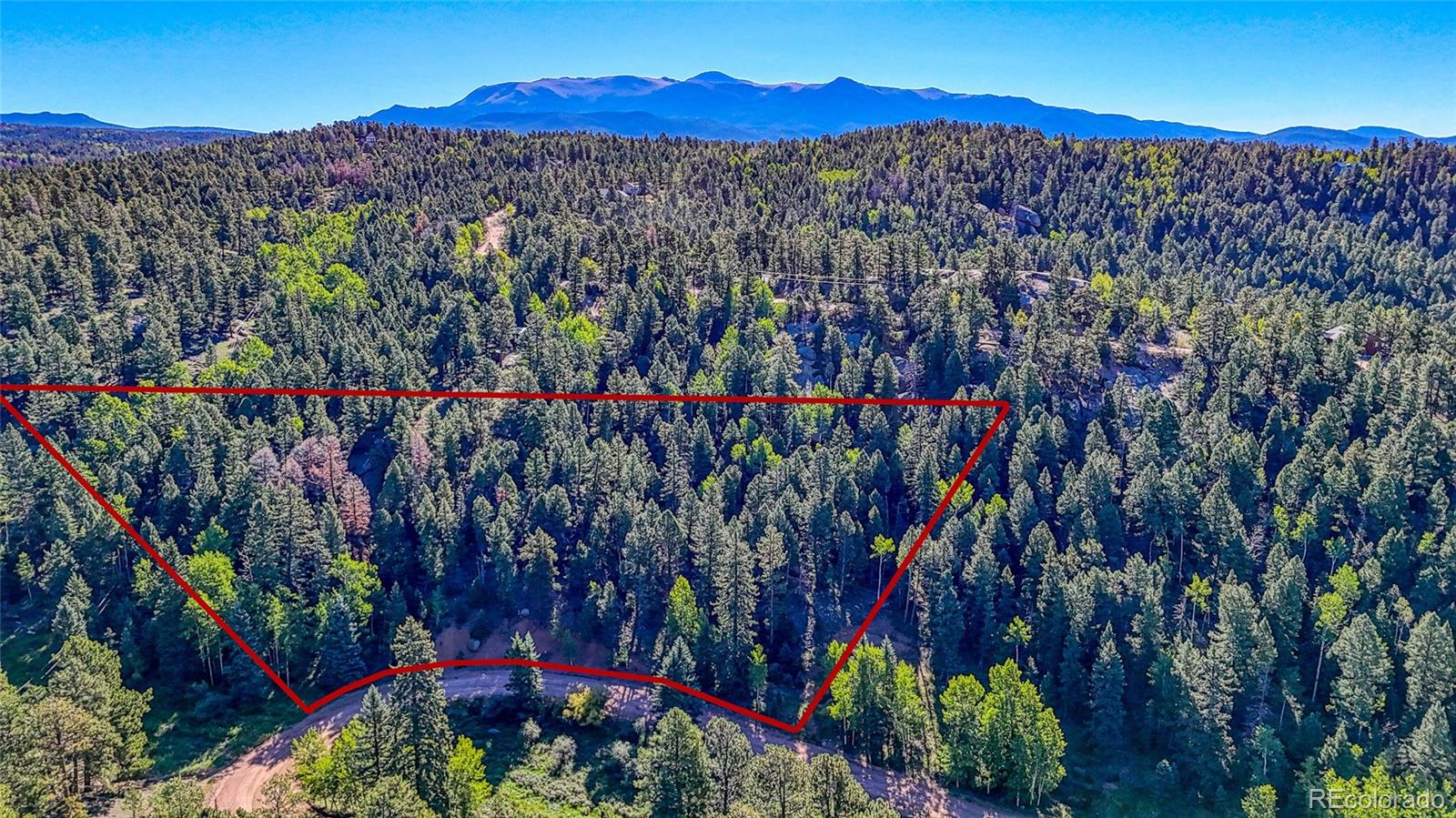 776 Spring Valley Ln Lot 1088, Florissant, CO 80816