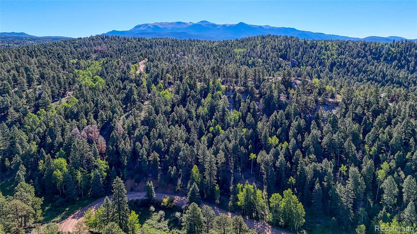 776 Spring Valley Ln Lot 1088, Florissant, CO 80816