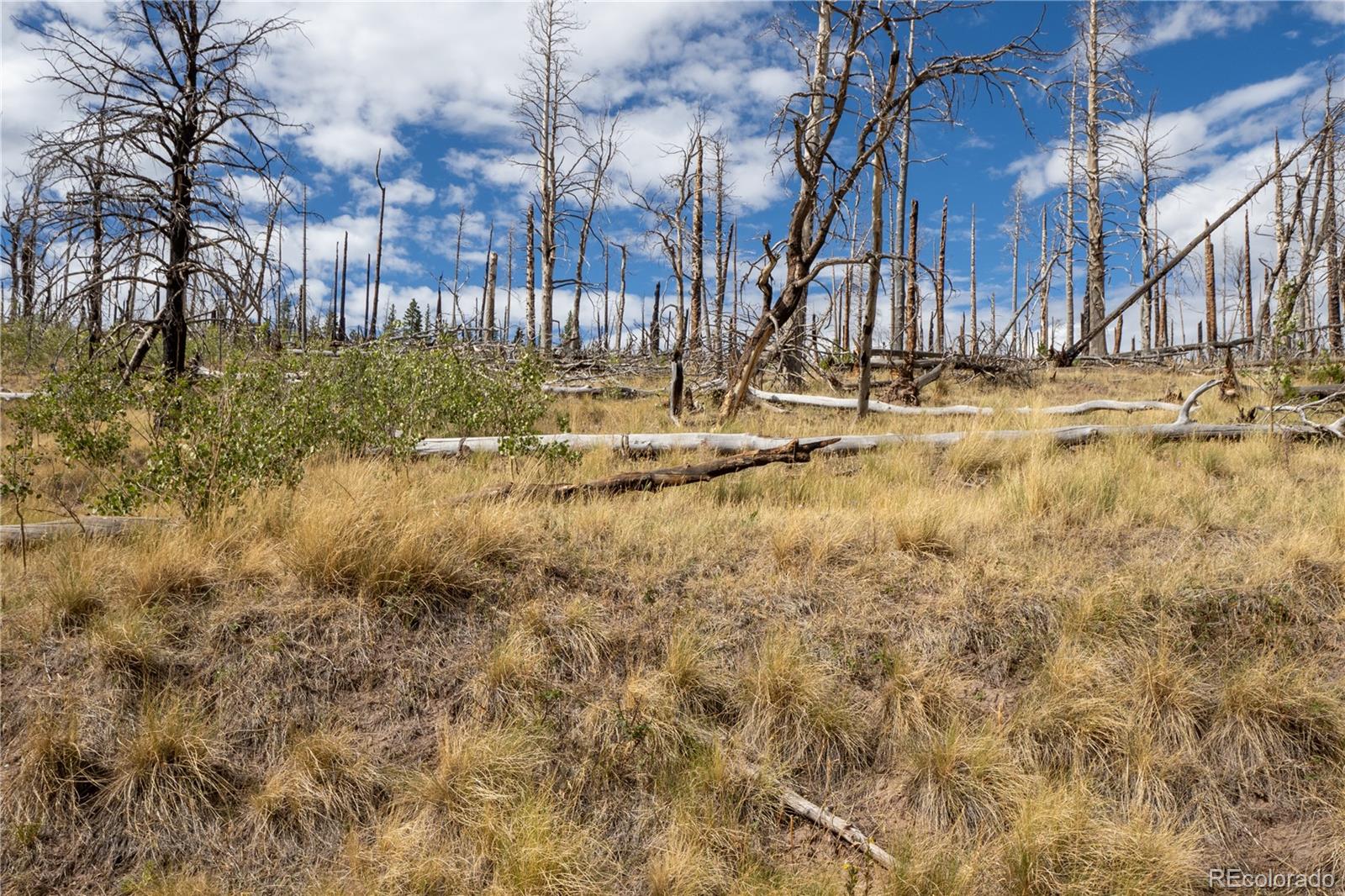 Lot 2748 Grojean Dr Lot 2748, Fort Garland, CO 81133