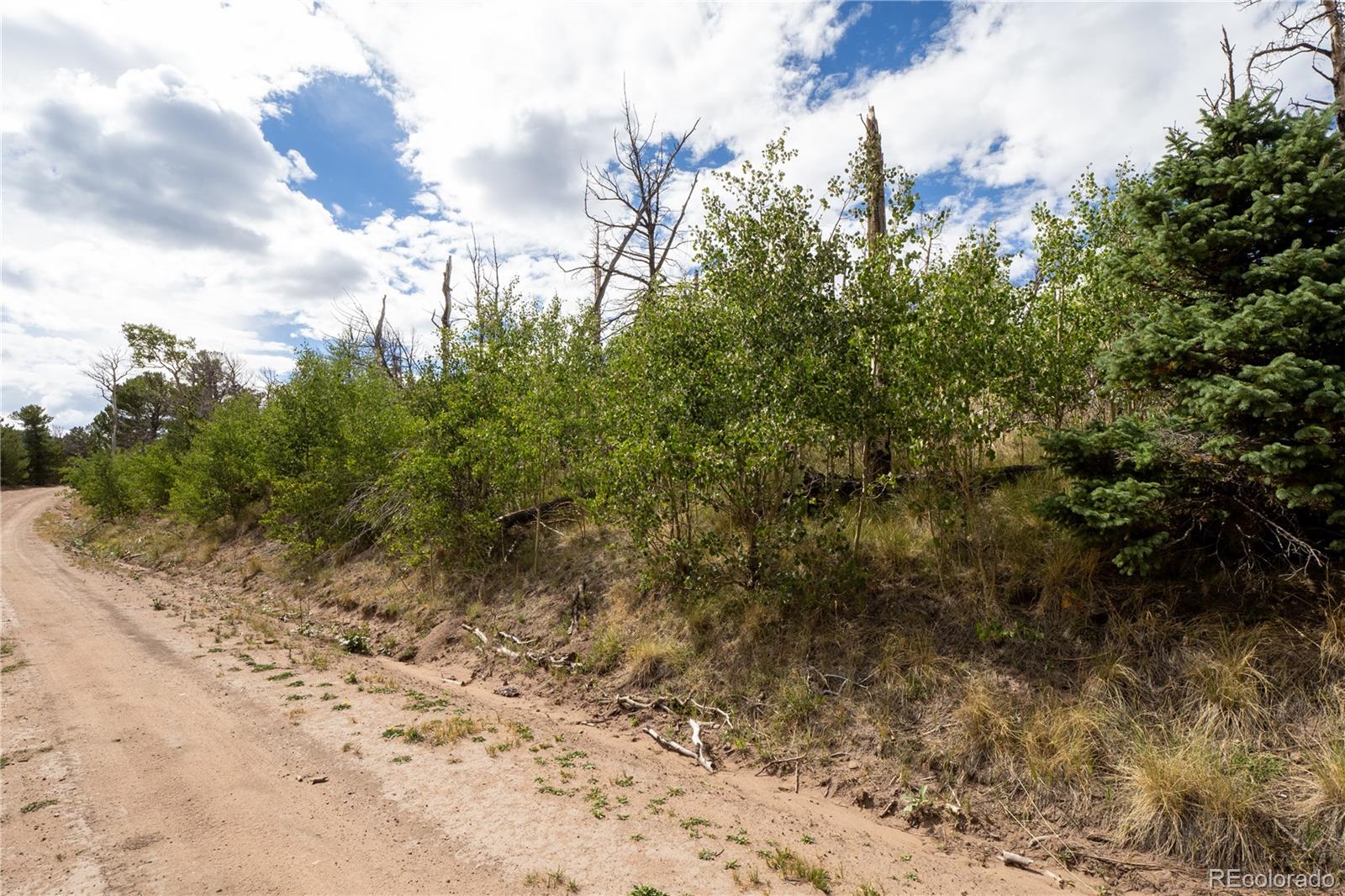 Lot 2748 Grojean Dr Lot 2748, Fort Garland, CO 81133