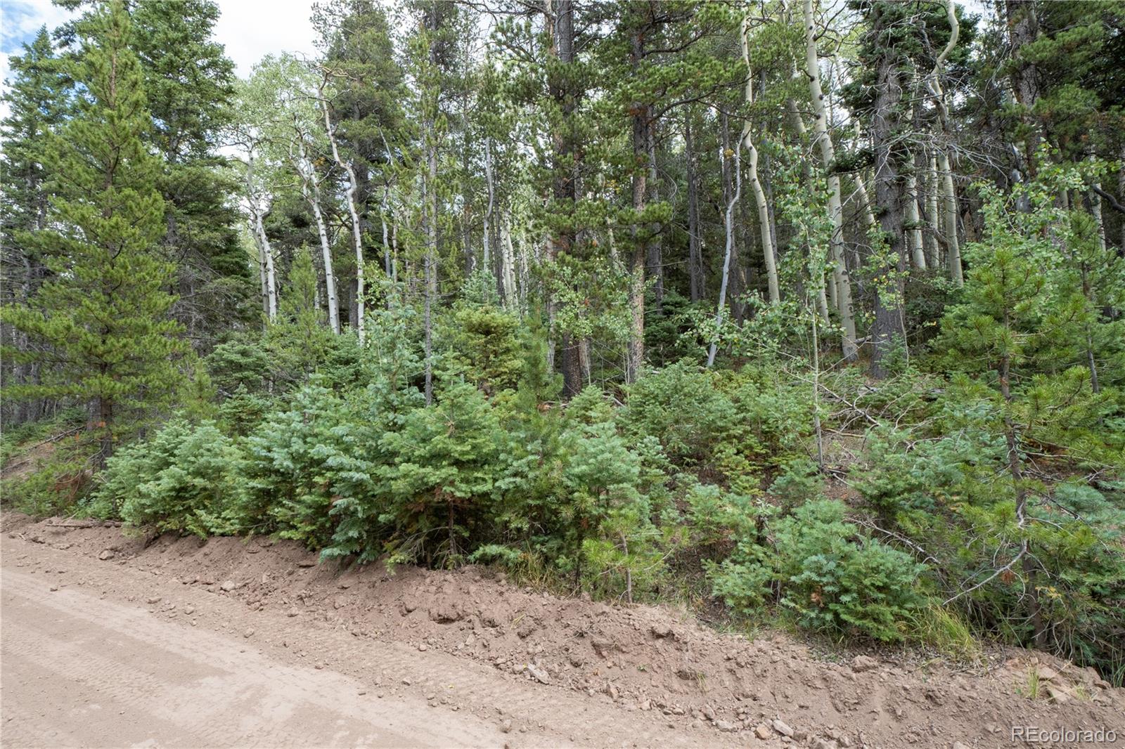 Lot 2238 Buonaventura Ln Lot 2238, Fort Garland, CO 81133