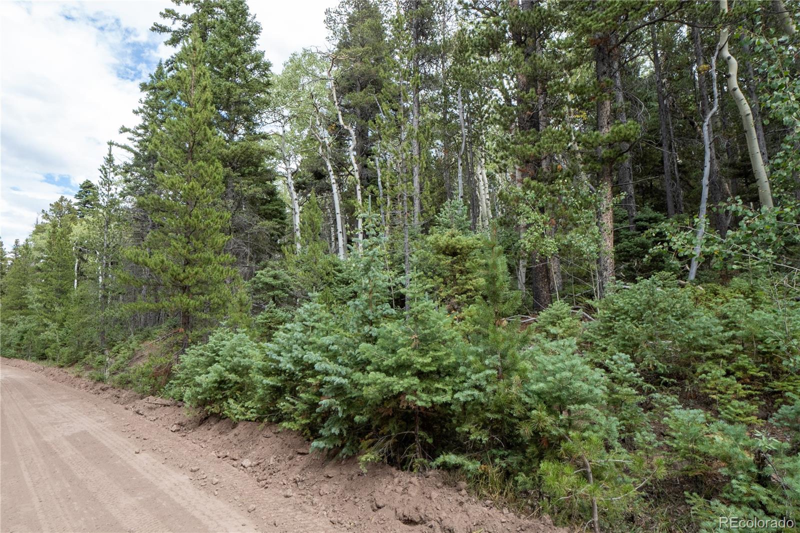 Lot 2238 Buonaventura Ln Lot 2238, Fort Garland, CO 81133