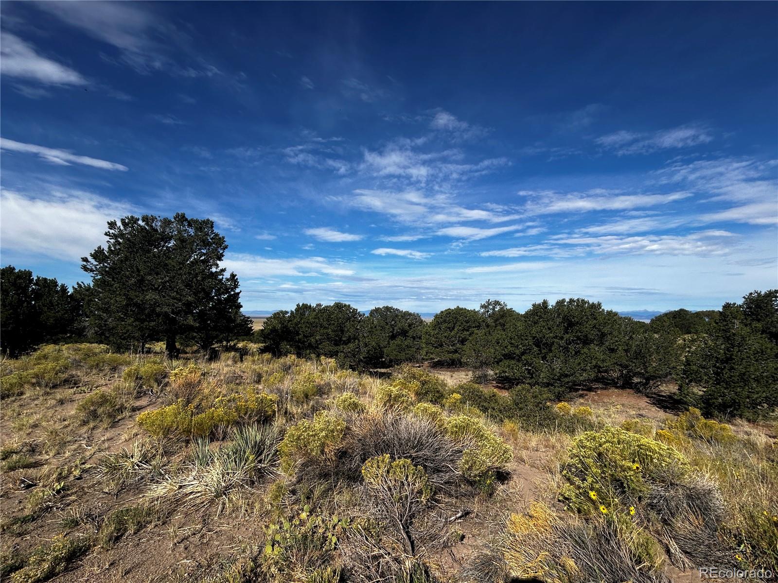 1411 W Badger Rd, Crestone, CO 81131