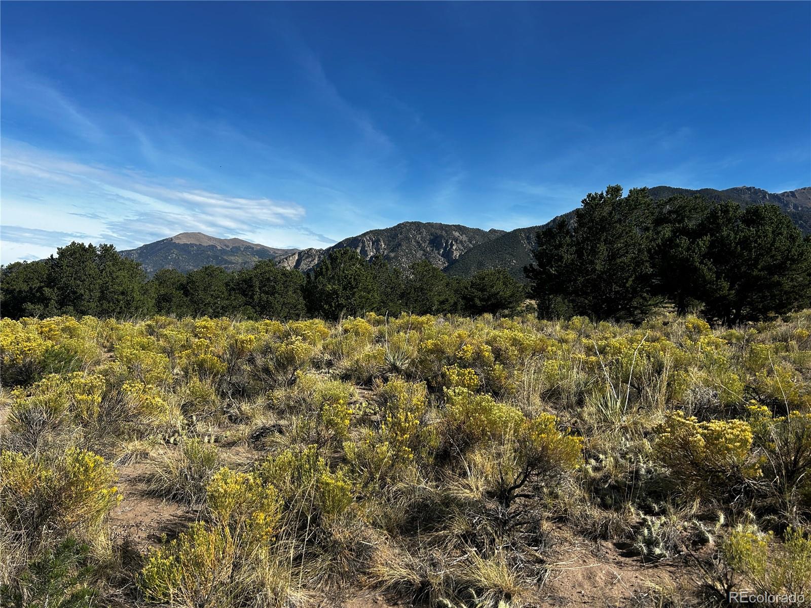 1411 W Badger Rd, Crestone, CO 81131