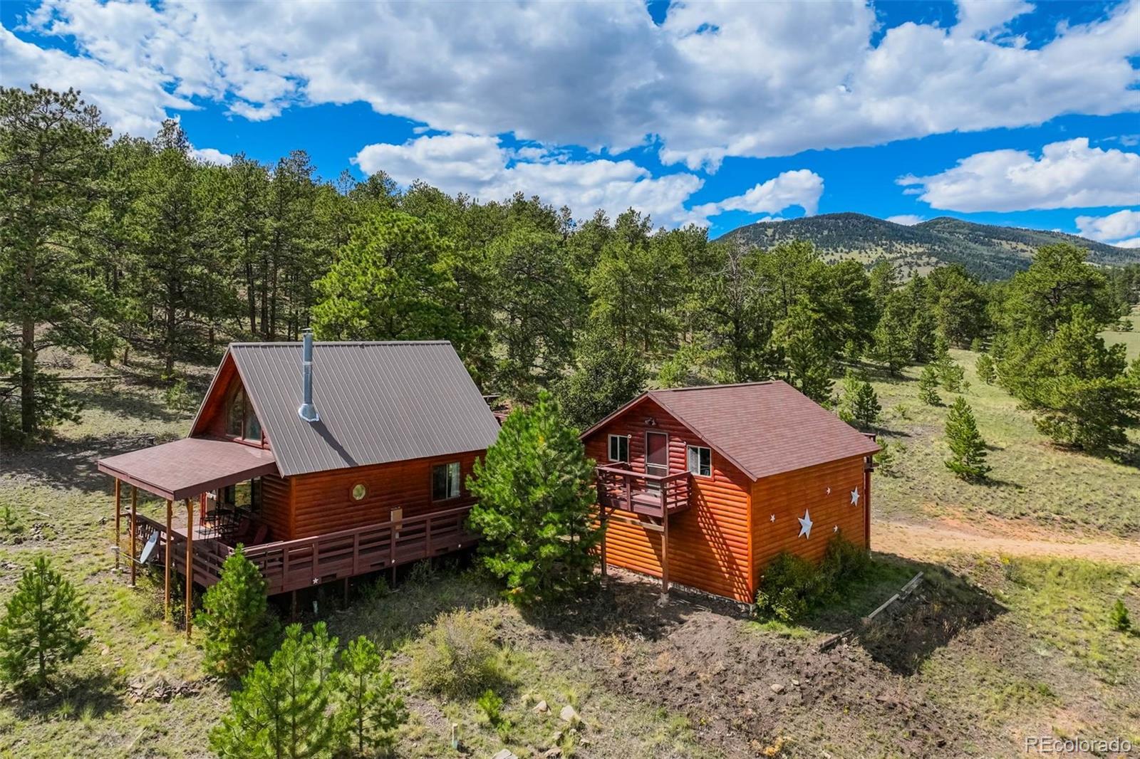 151 Old Kathleen Trl, Guffey, CO 80820