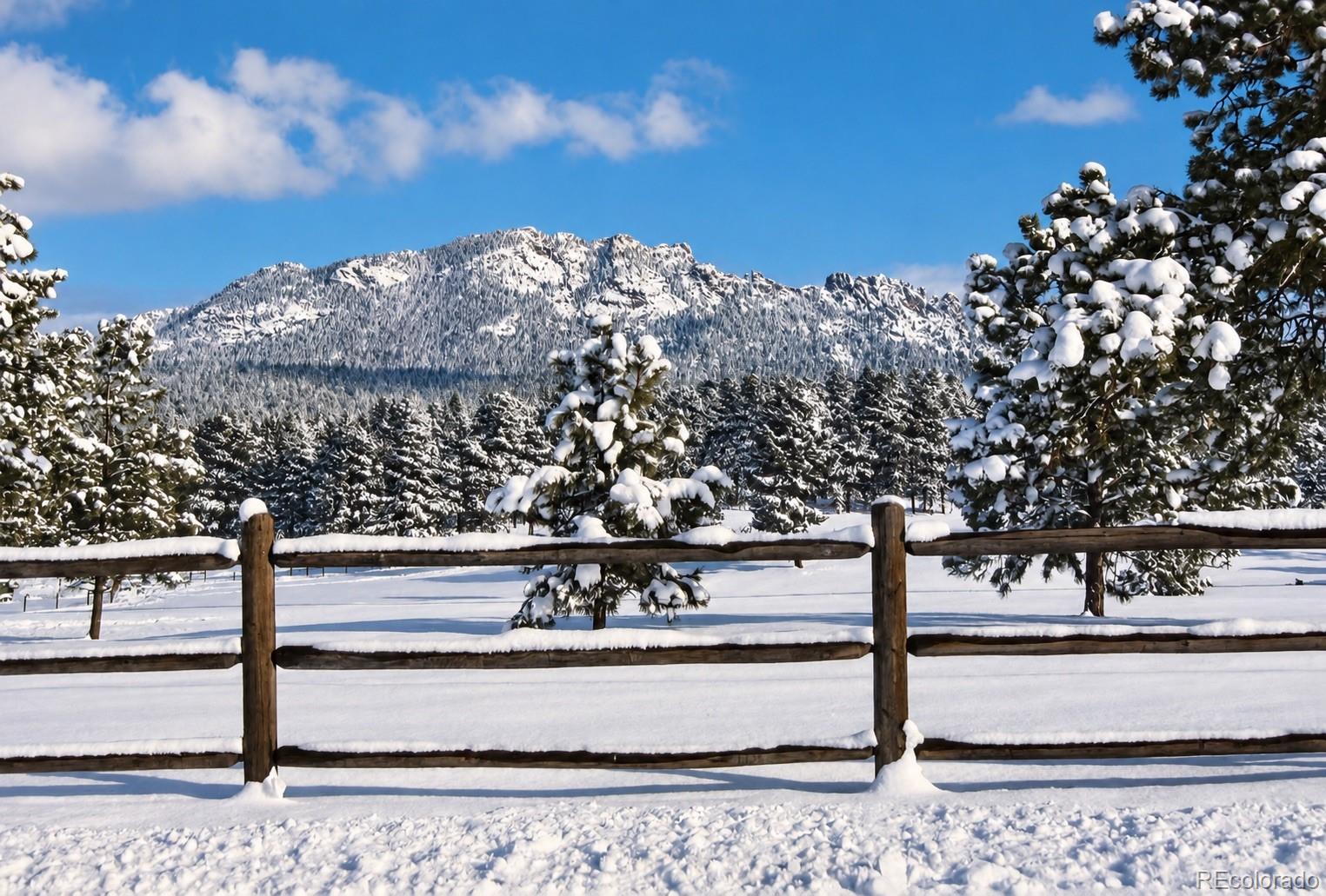 21555 Spring Creek Rd, Buffalo Creek, CO 80425