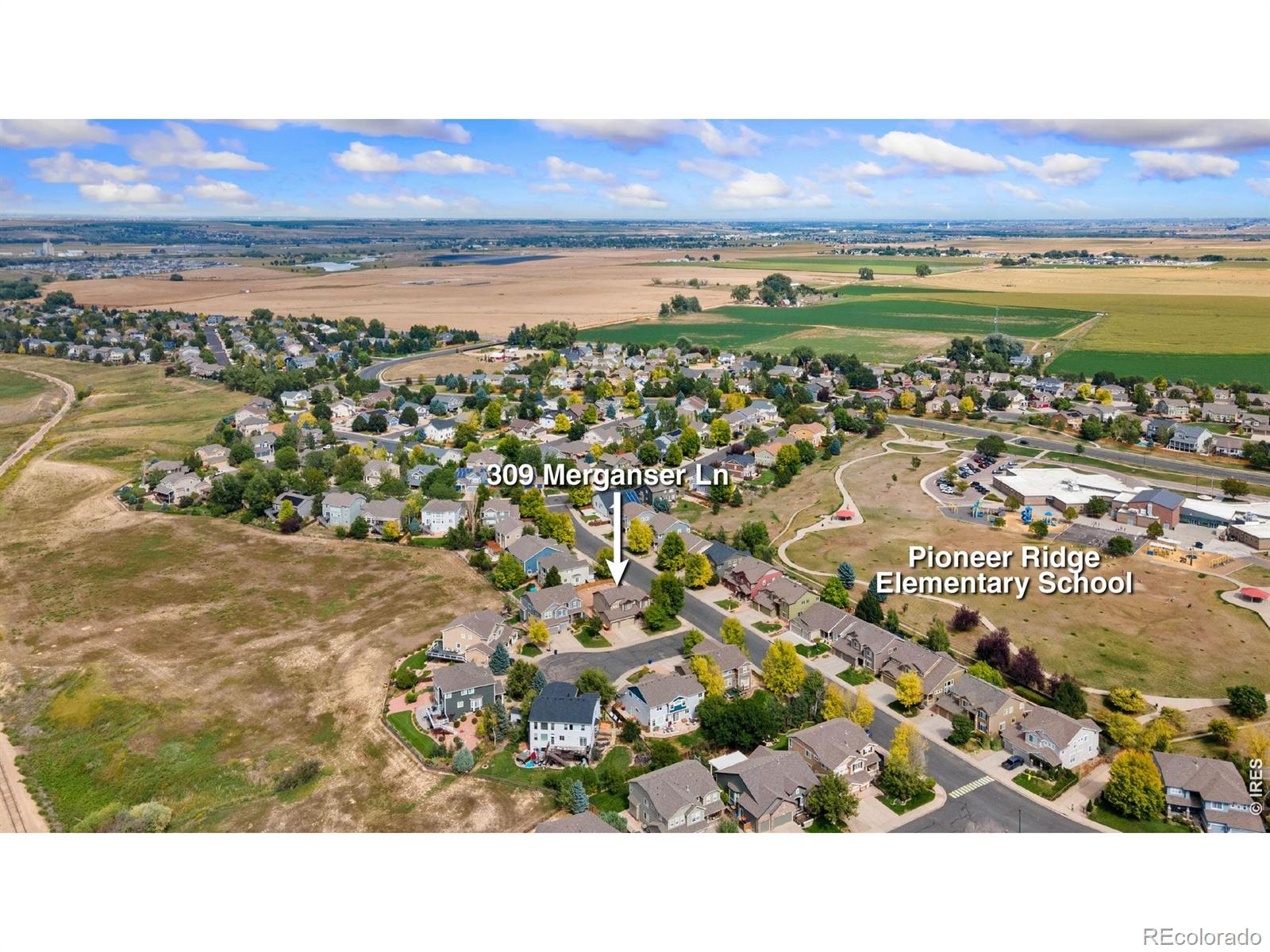 309 Merganser Ln, Johnstown, CO 80534