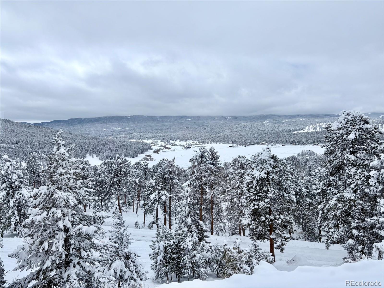 7026 Timbers Dr, Evergreen, CO 80439