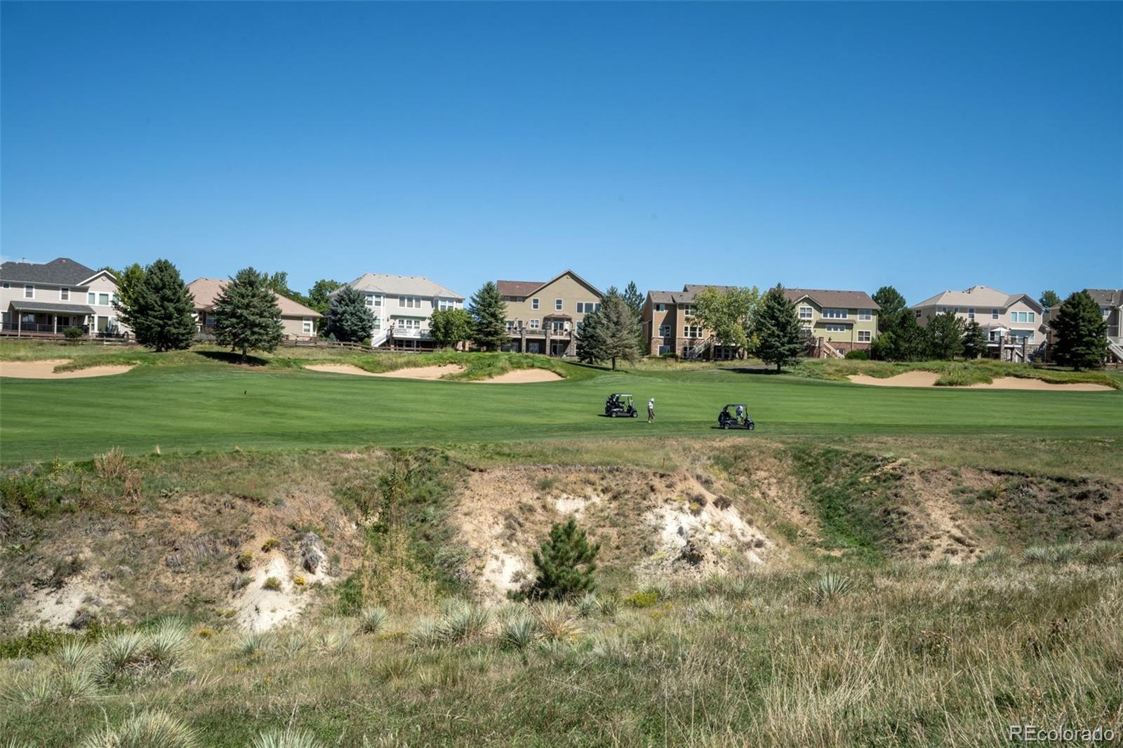11983 S Allerton Cir, Parker, CO 80138